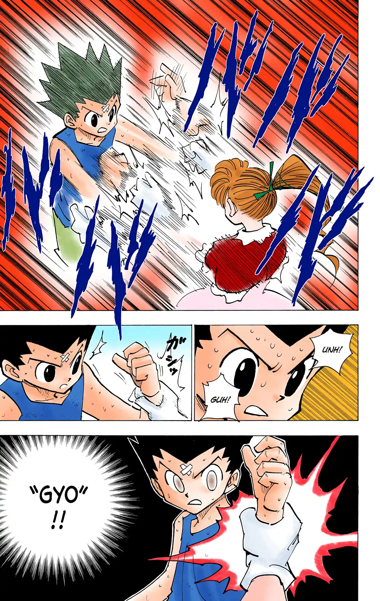 Hunter X Hunter Full Color Vol.17 Chapter 171