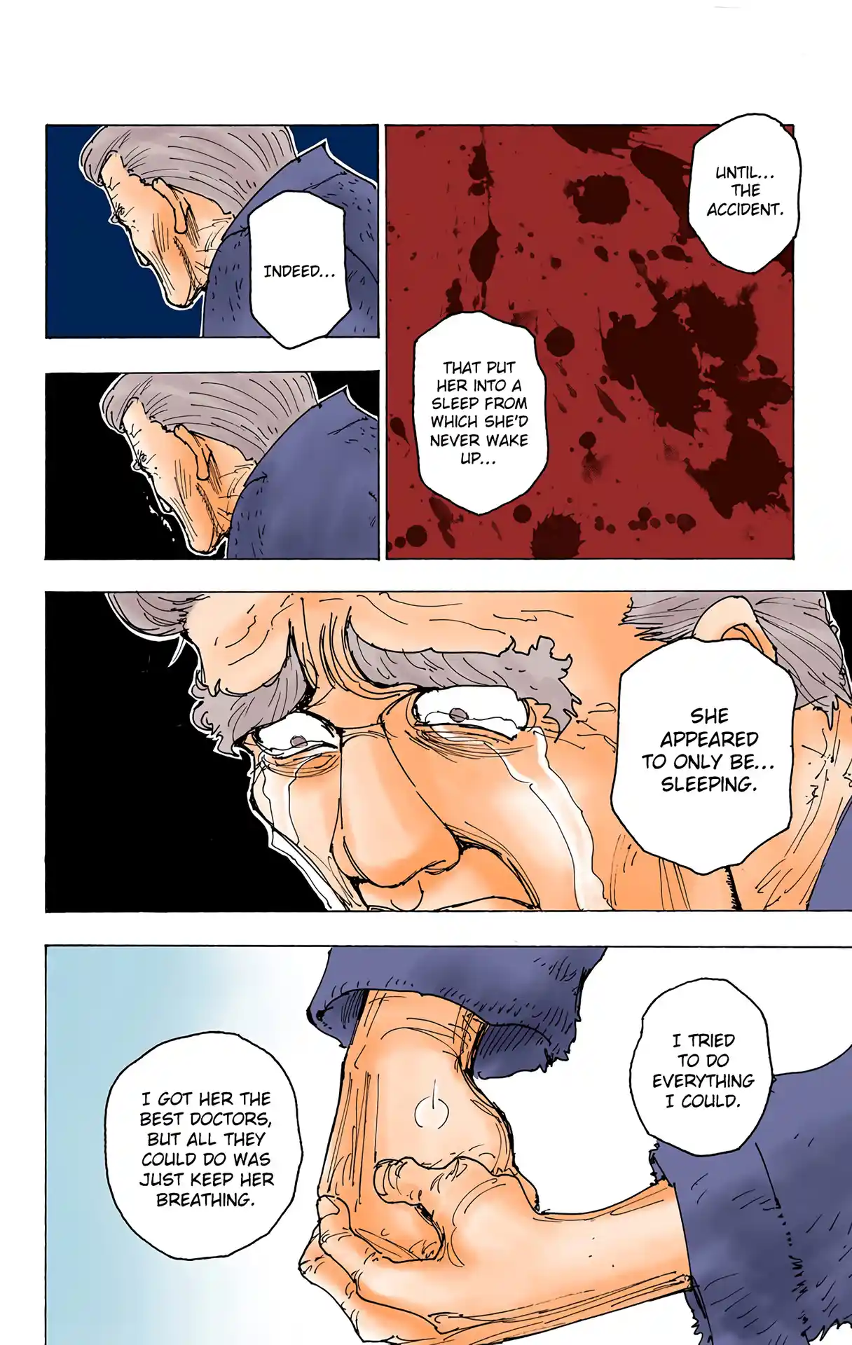 Hunter X Hunter Full Color Vol.17 Chapter 174