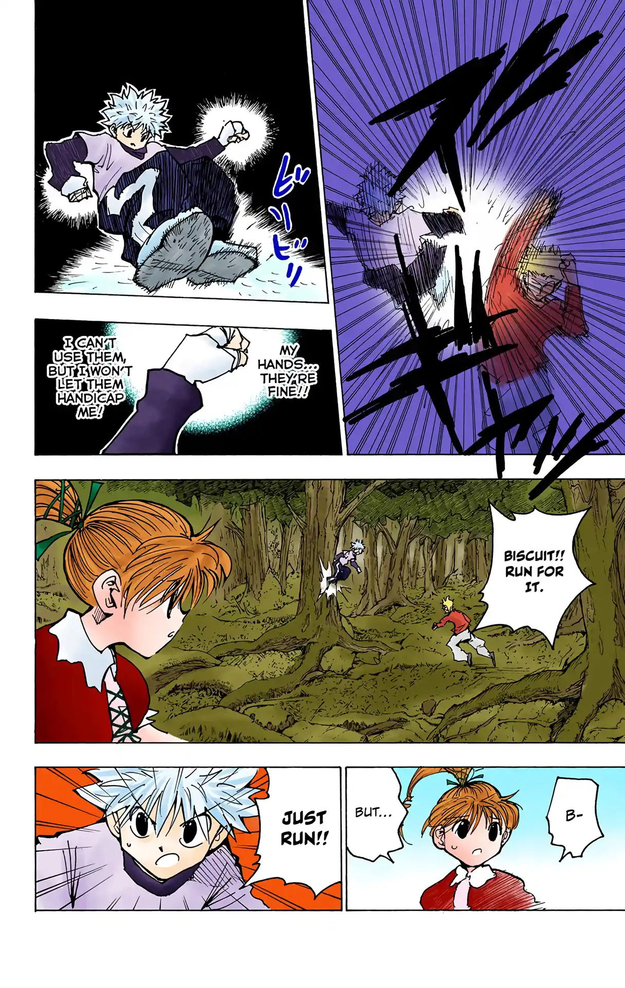 Hunter X Hunter Full Color Vol.17 Chapter 175