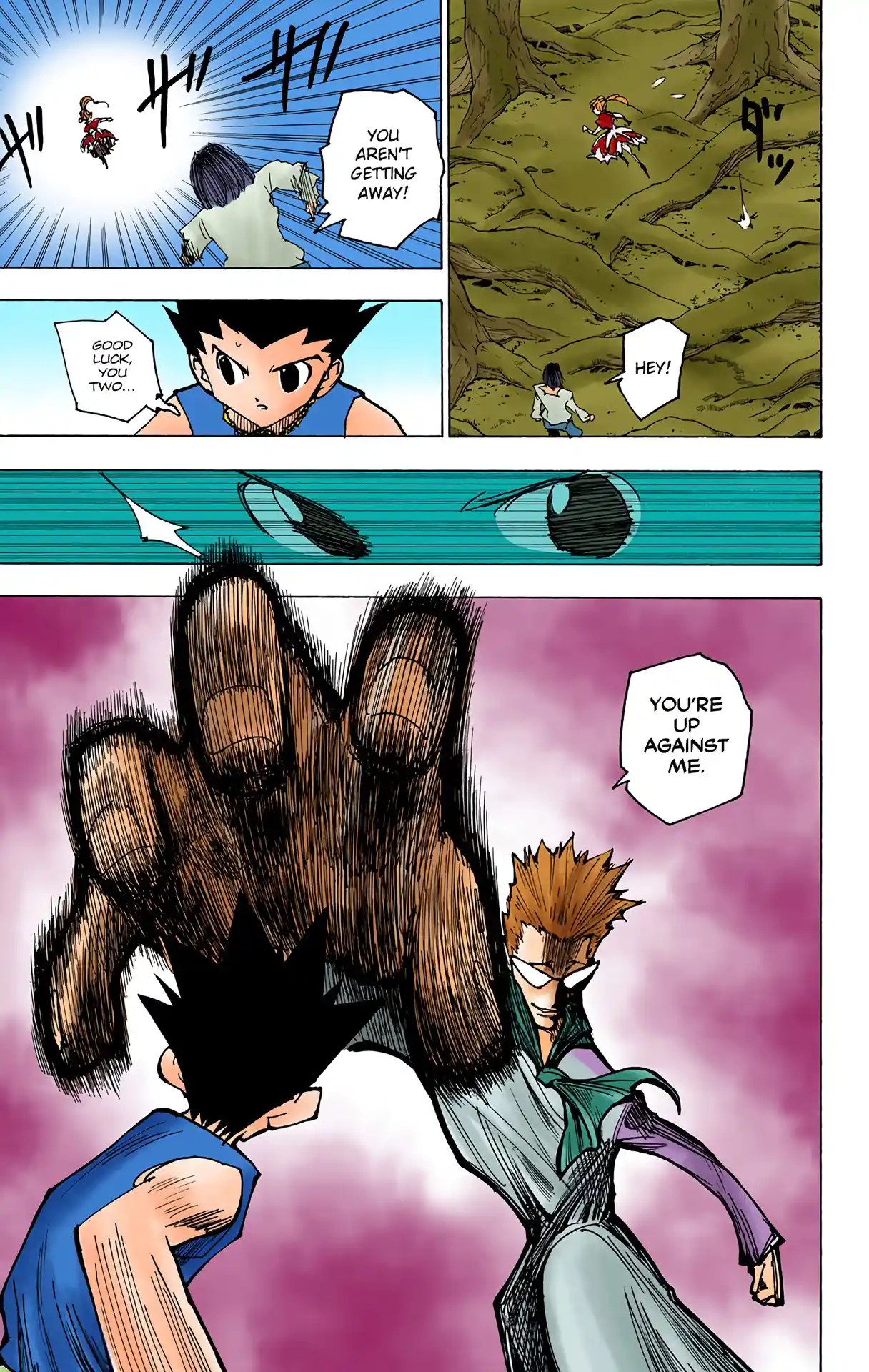 Hunter X Hunter Full Color Vol.17 Chapter 175