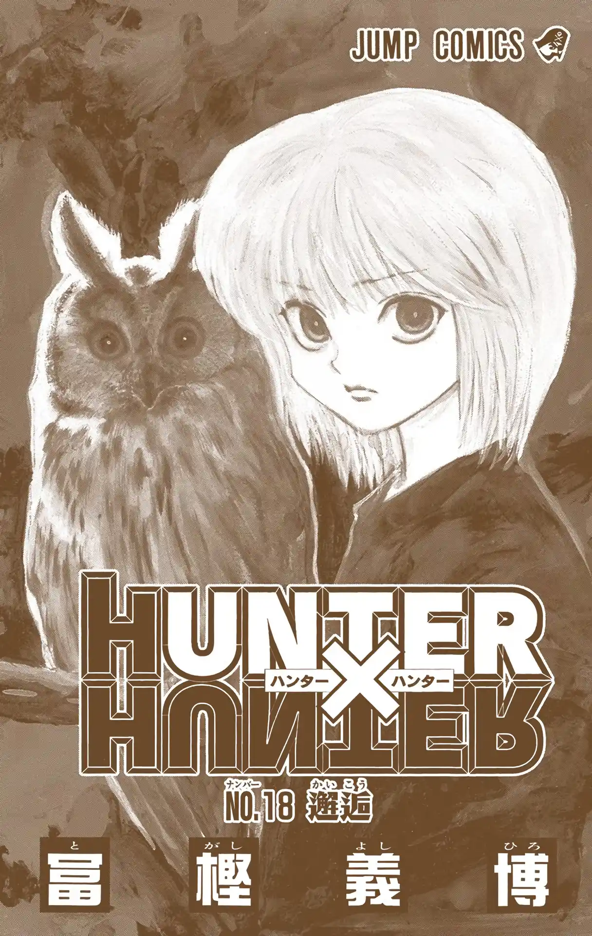 Hunter X Hunter Full Color Vol.18 Chapter 176