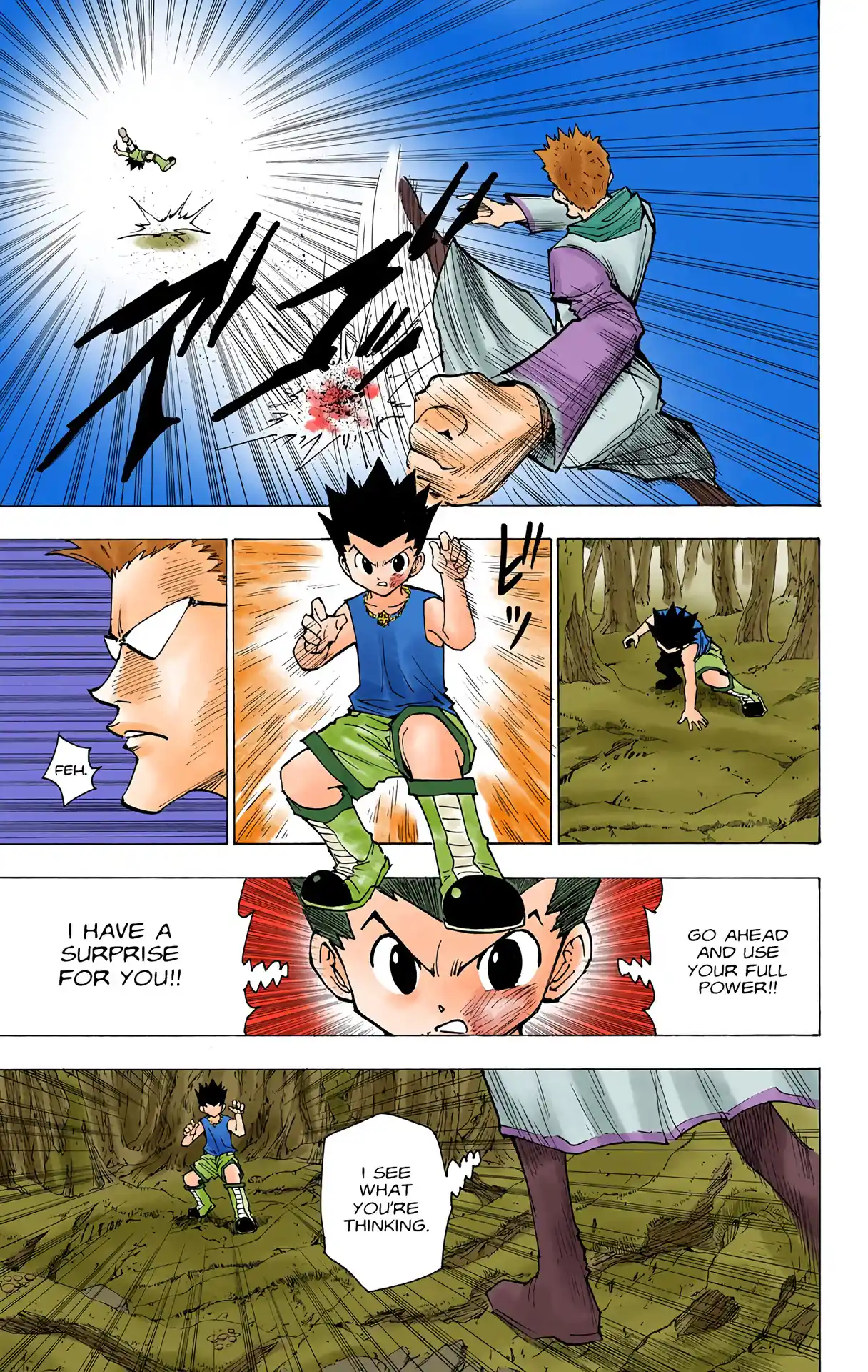 Hunter X Hunter Full Color Vol.18 Chapter 177
