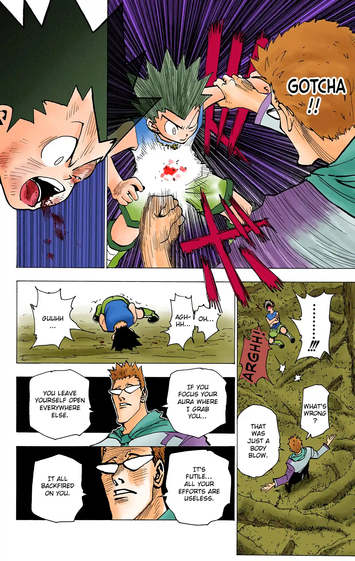 Hunter X Hunter Full Color Vol.18 Chapter 179