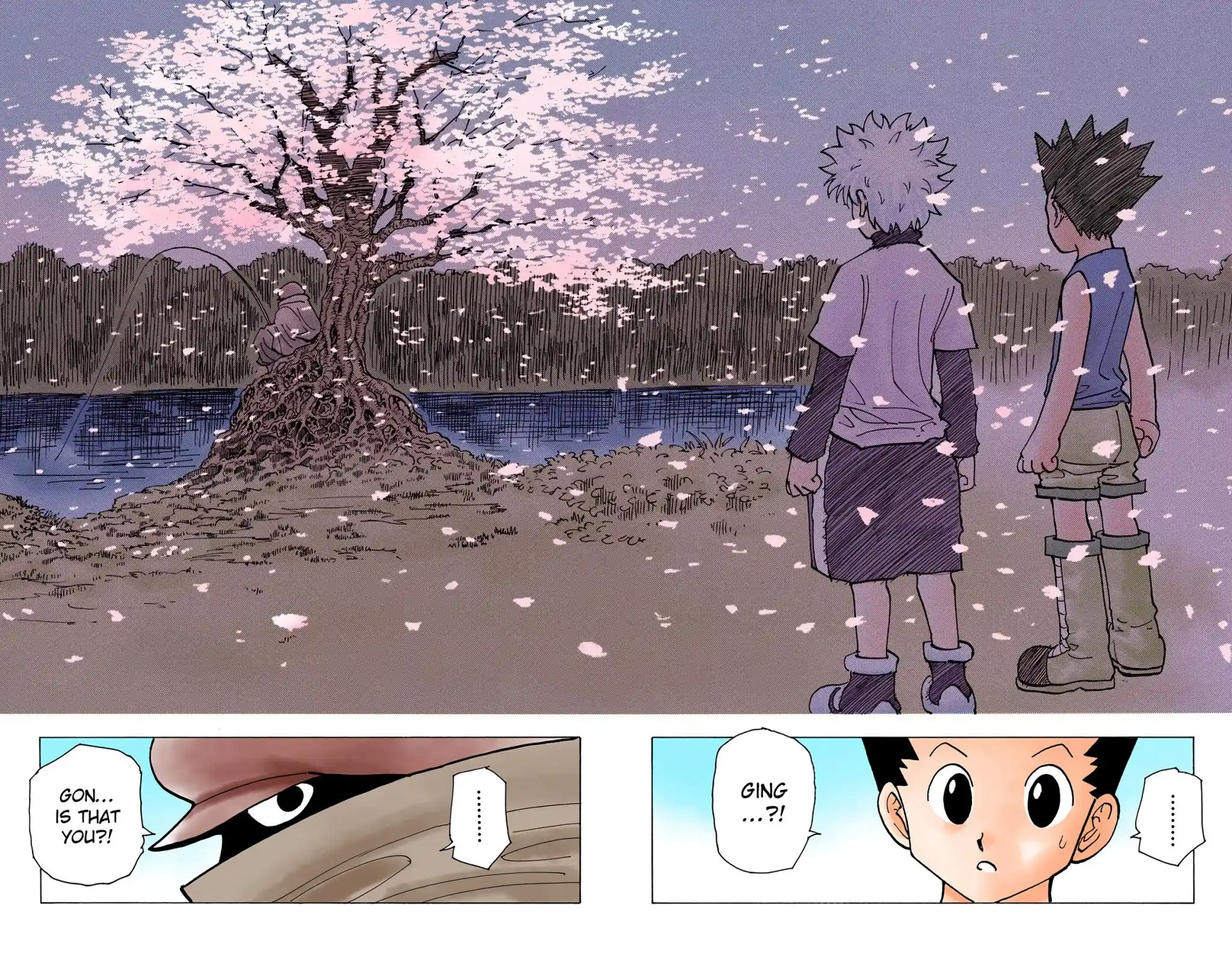 Hunter X Hunter Full Color Vol.18 Chapter 185