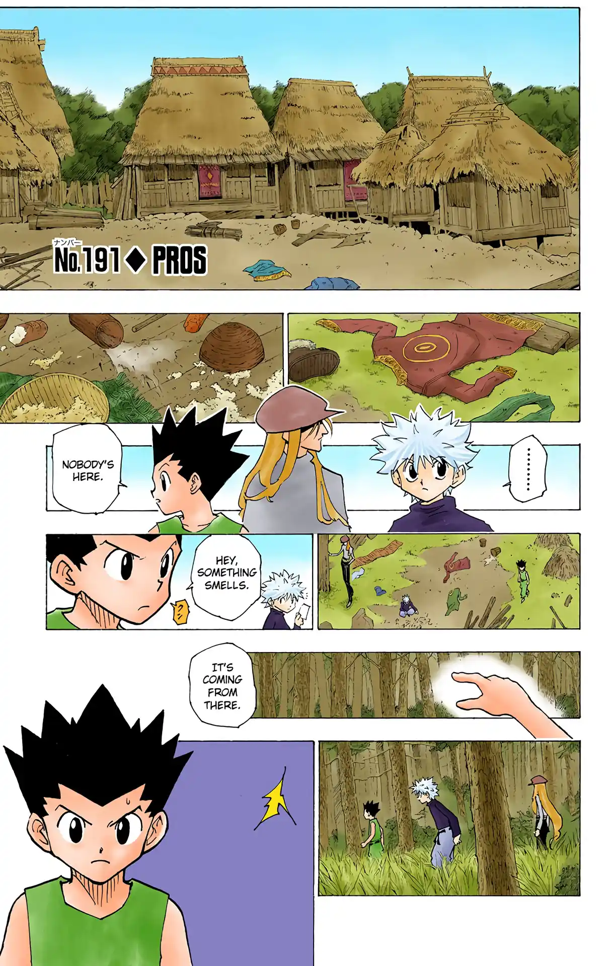 Hunter X Hunter Full Color Vol.19 Chapter 191