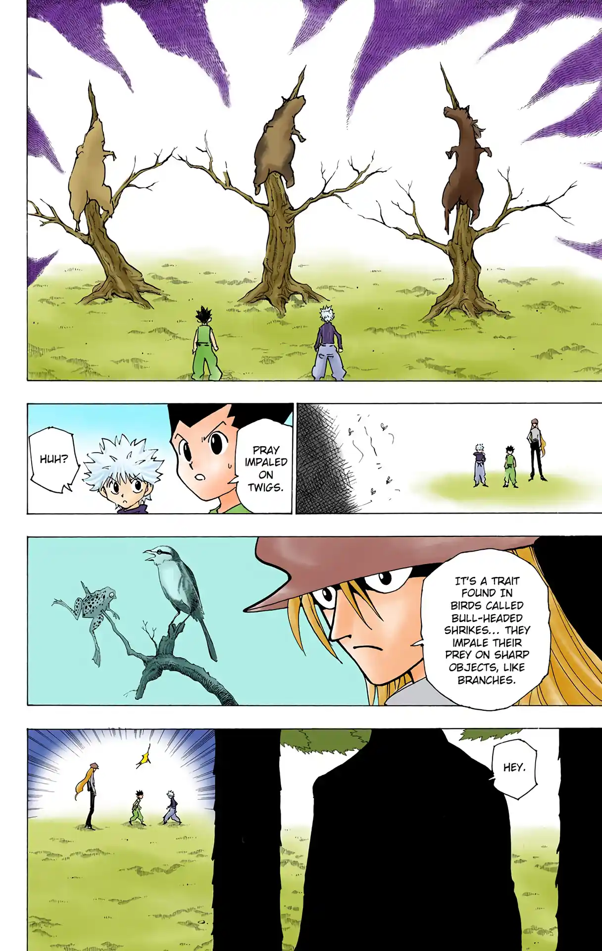 Hunter X Hunter Full Color Vol.19 Chapter 191
