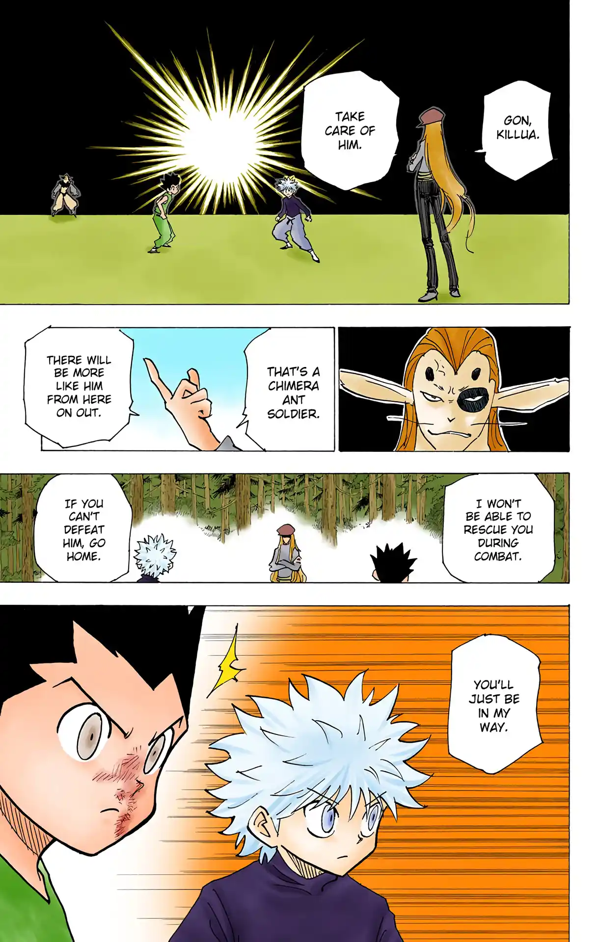 Hunter X Hunter Full Color Vol.19 Chapter 191