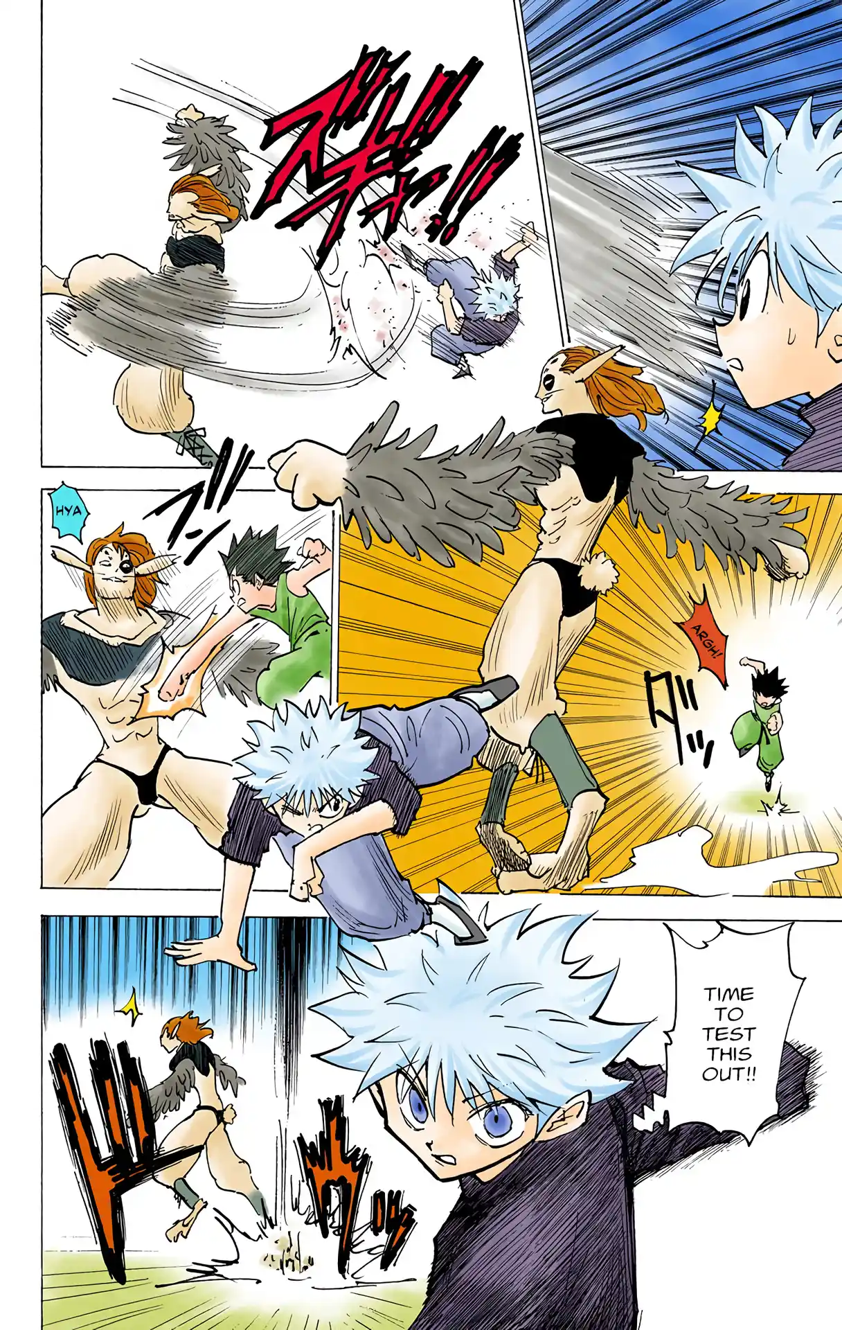 Hunter X Hunter Full Color Vol.19 Chapter 191