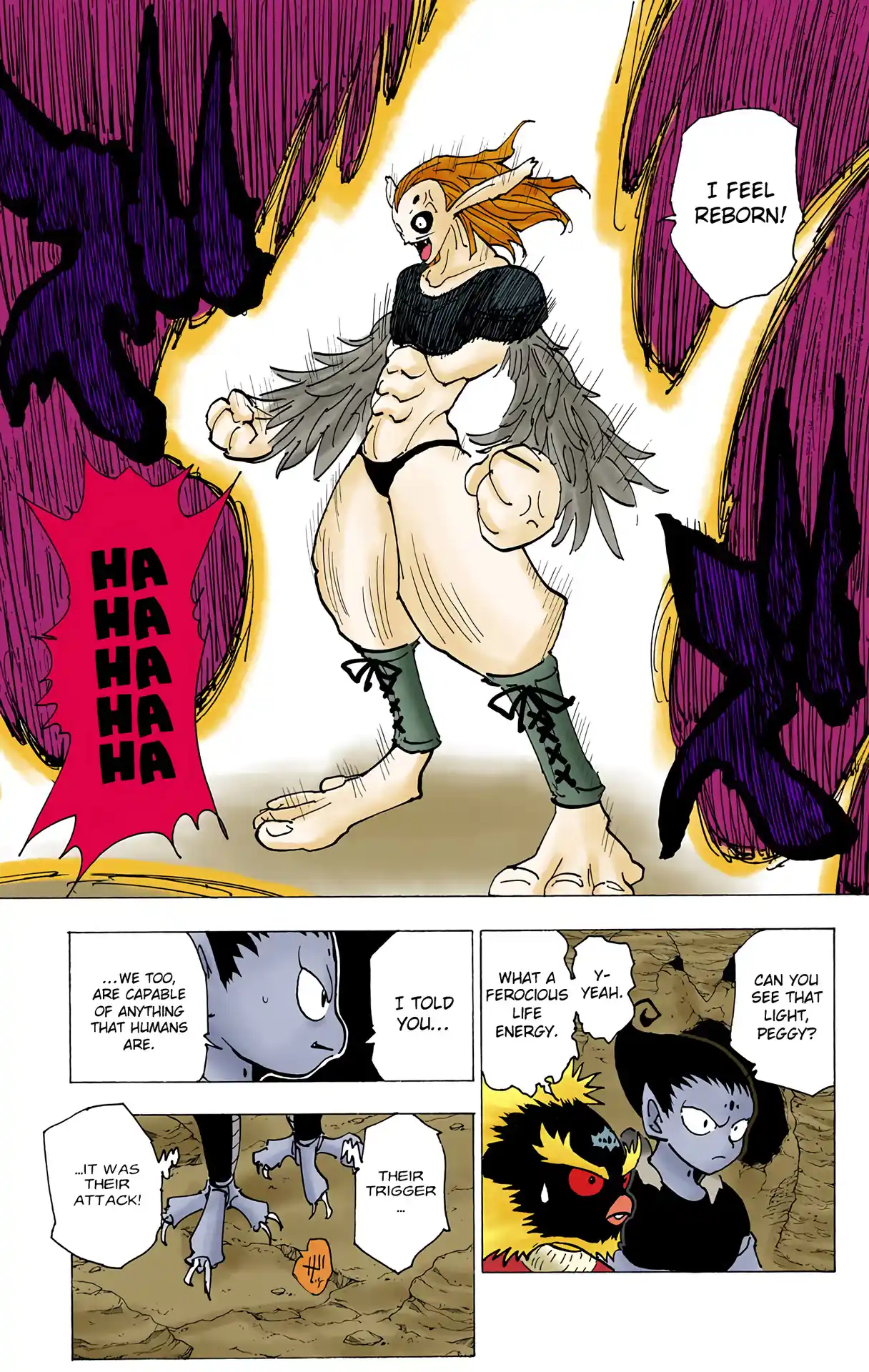 Hunter X Hunter Full Color Vol.19 Chapter 194