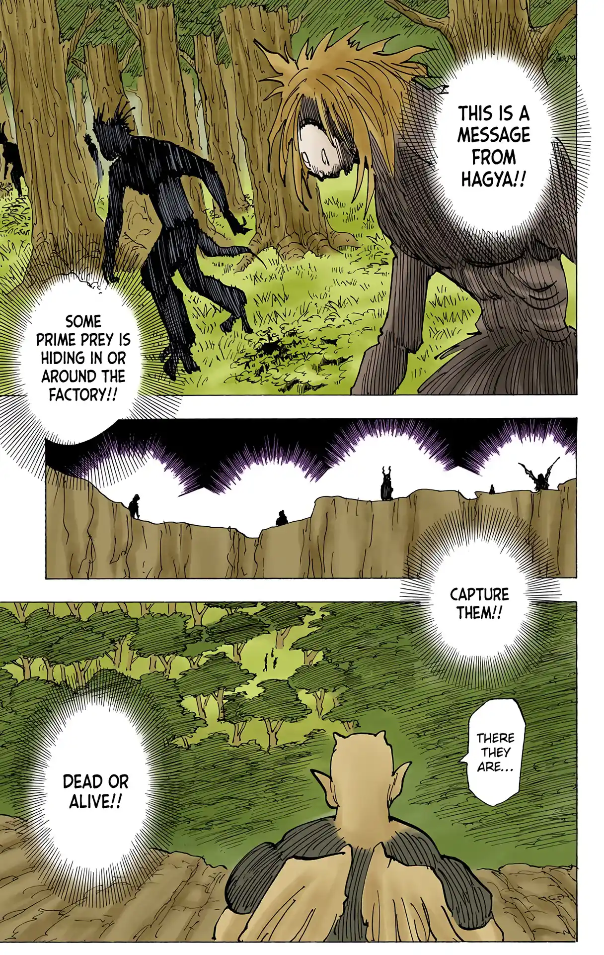 Hunter X Hunter Full Color Vol.19 Chapter 194
