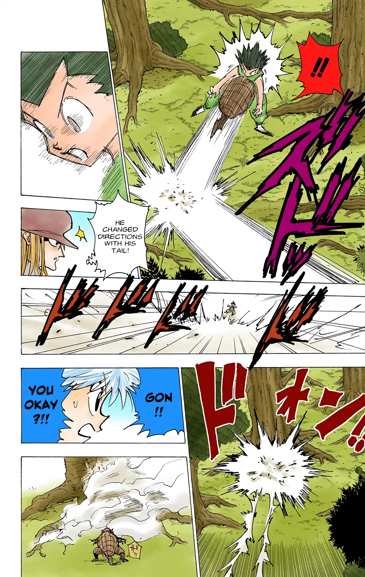 Hunter X Hunter Full Color Vol.19 Chapter 195