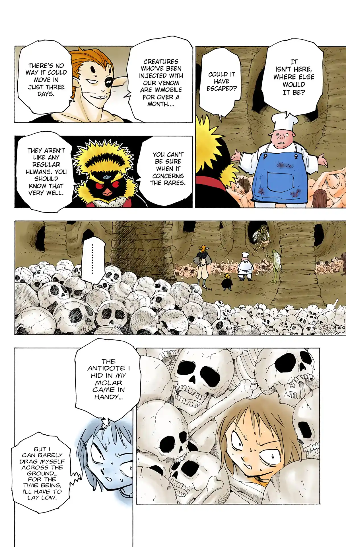 Hunter X Hunter Full Color Vol.19 Chapter 197