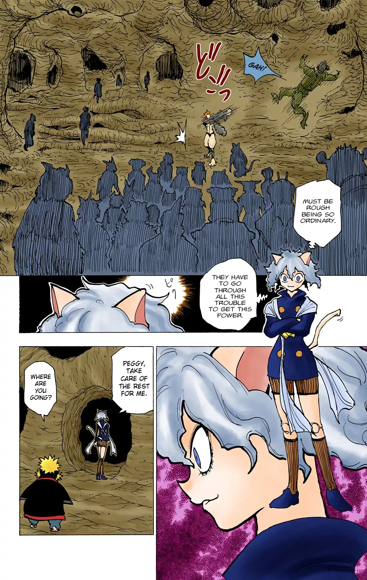 Hunter X Hunter Full Color Vol.19 Chapter 198