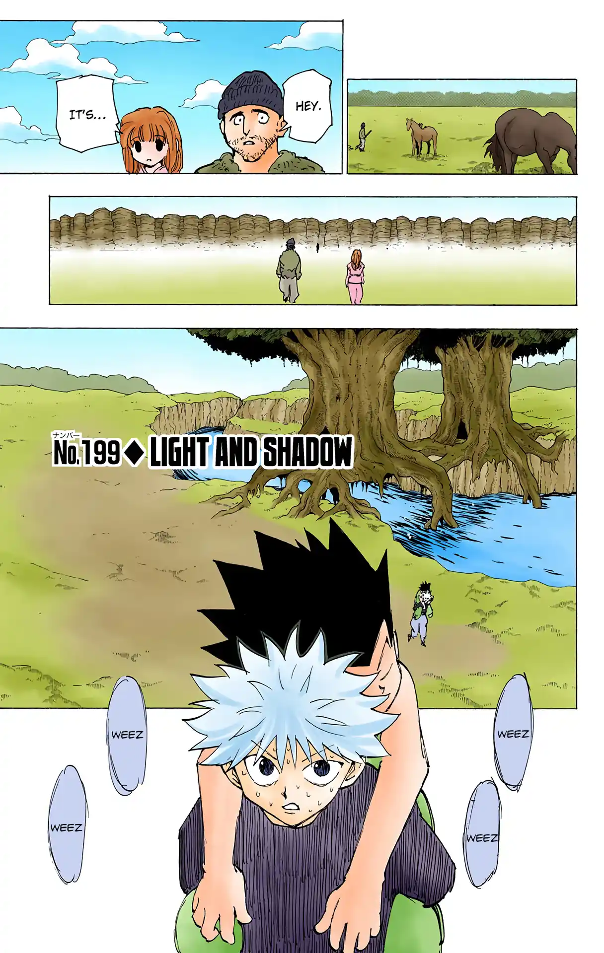 Hunter X Hunter Full Color Vol.19 Chapter 199