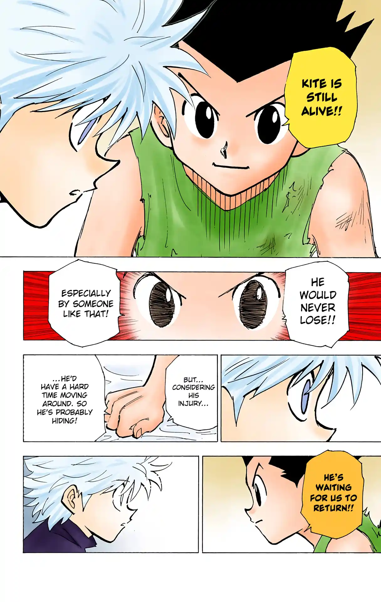 Hunter X Hunter Full Color Vol.19 Chapter 199