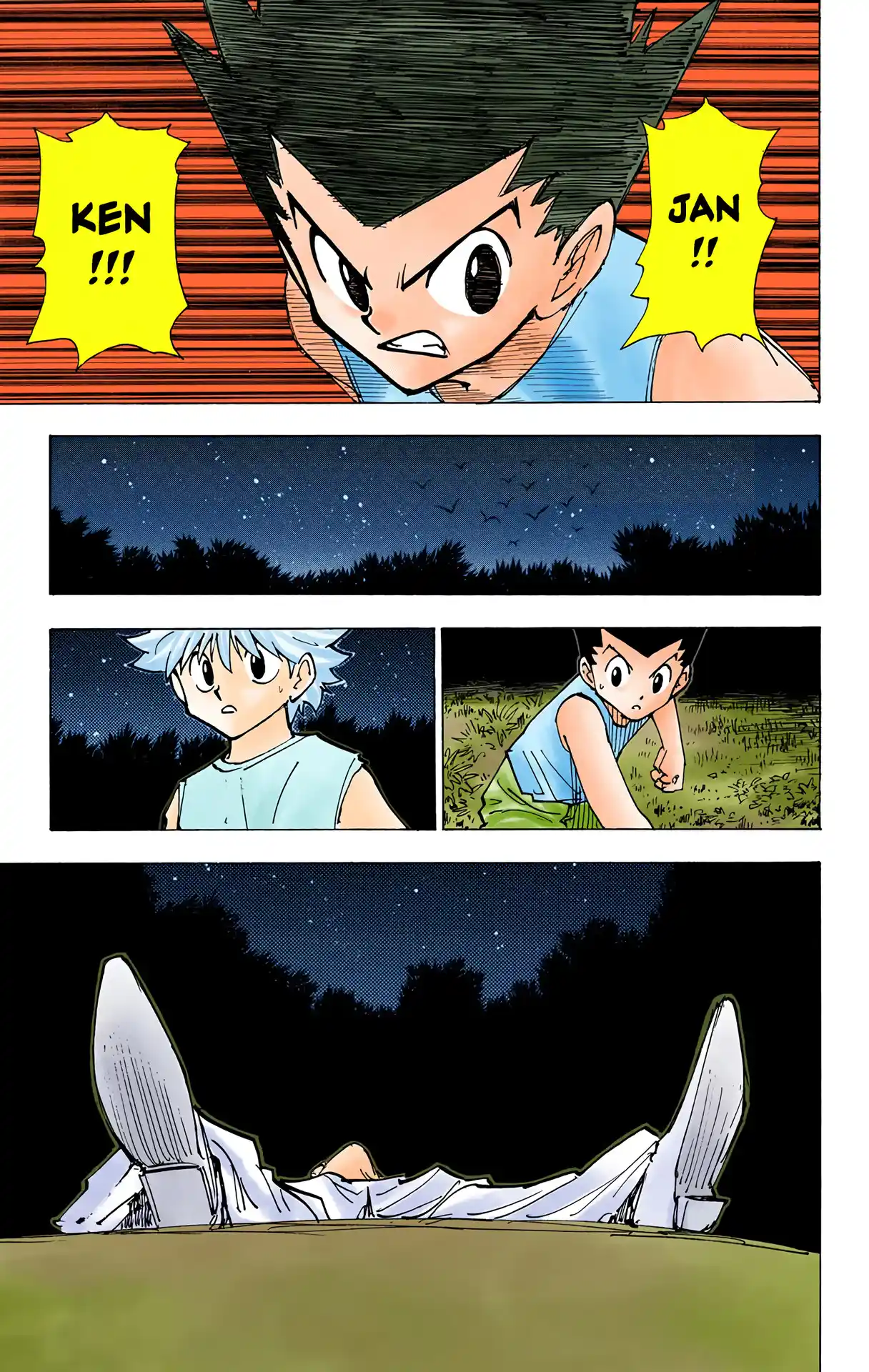 Hunter X Hunter Full Color Vol.20 Chapter 203