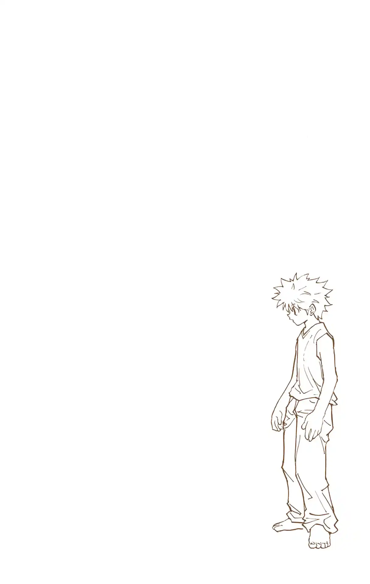 Hunter X Hunter Full Color Vol.20 Chapter 205