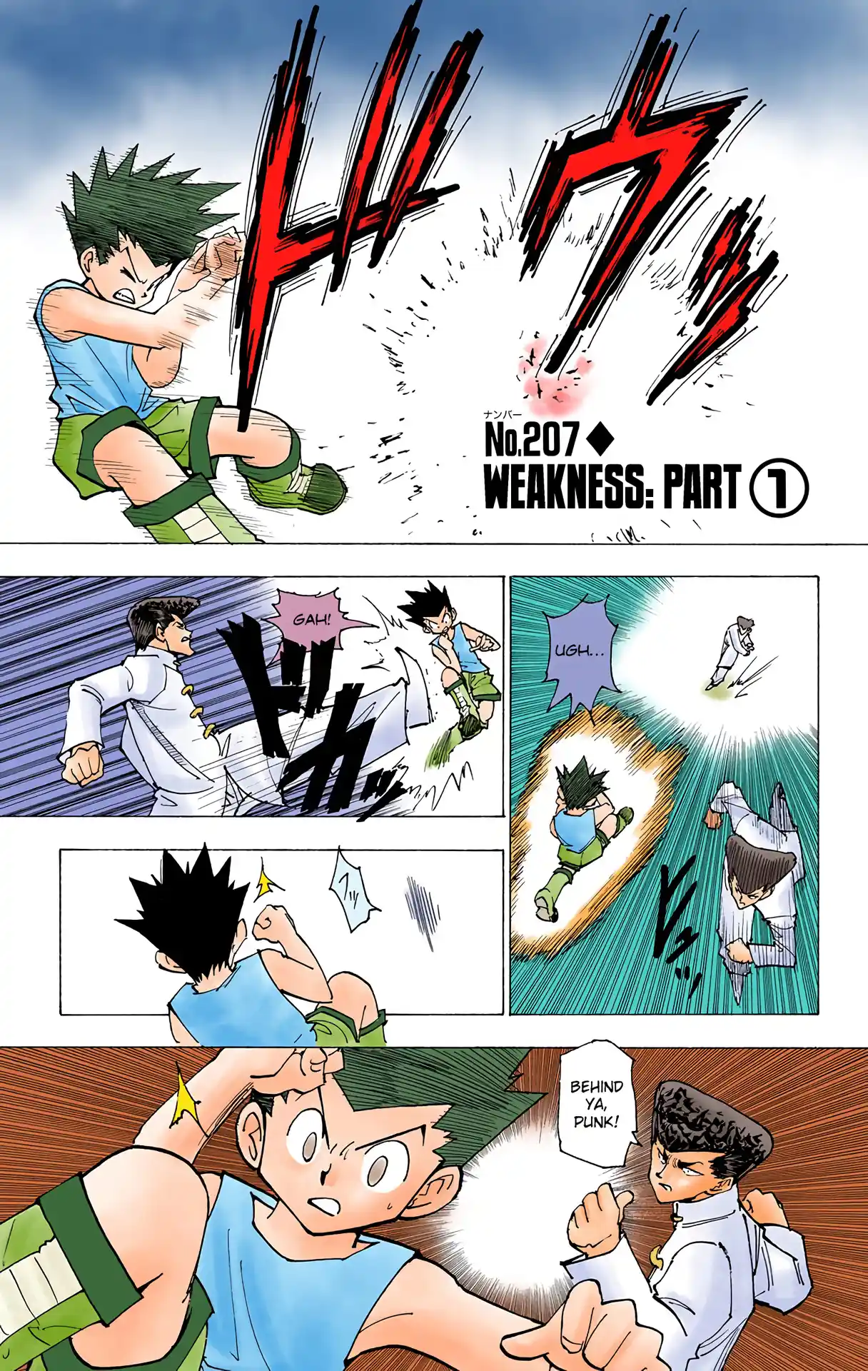 Hunter X Hunter Full Color Vol.20 Chapter 207