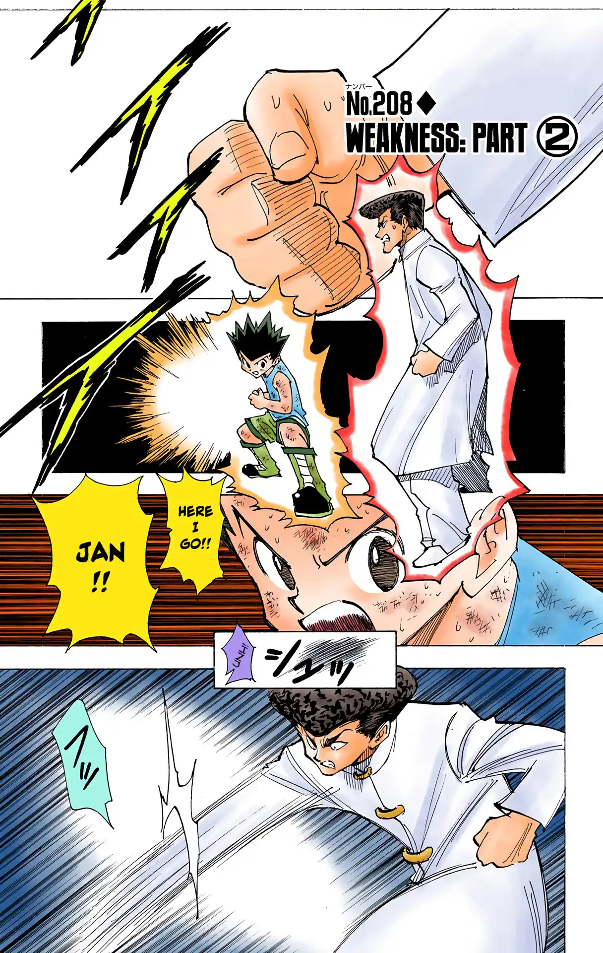 Hunter X Hunter Full Color Vol.20 Chapter 208