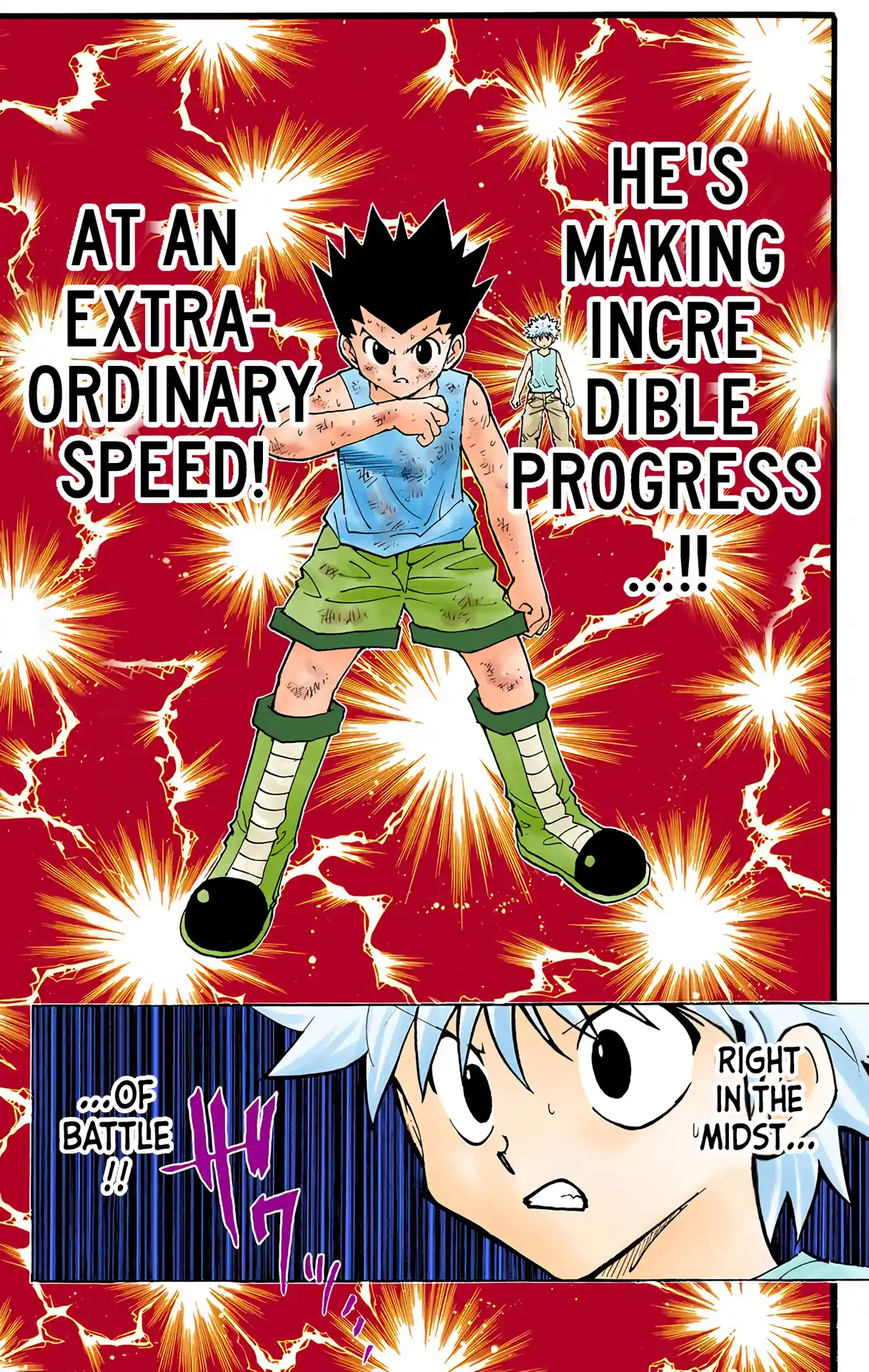Hunter X Hunter Full Color Vol.20 Chapter 208