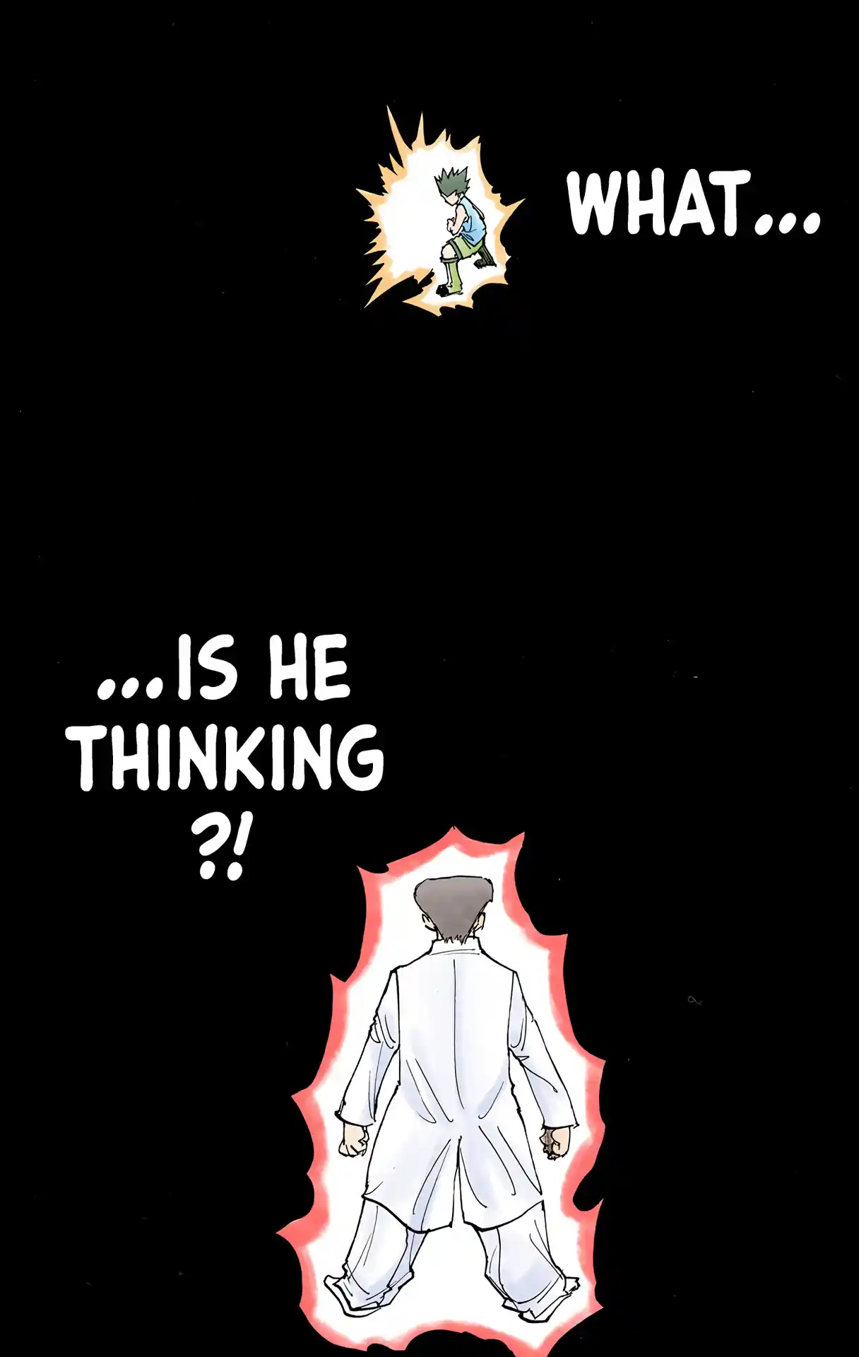 Hunter X Hunter Full Color Vol.20 Chapter 208