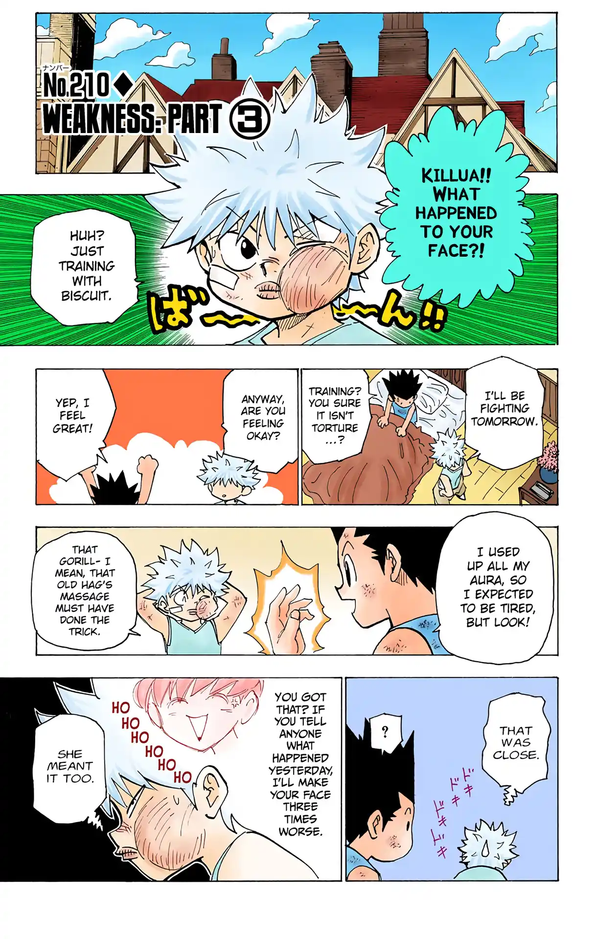 Hunter X Hunter Full Color Vol.20 Chapter 210