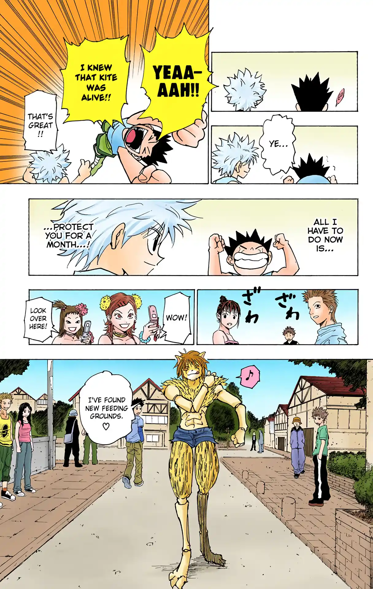 Hunter X Hunter Full Color Vol.21 Chapter 217