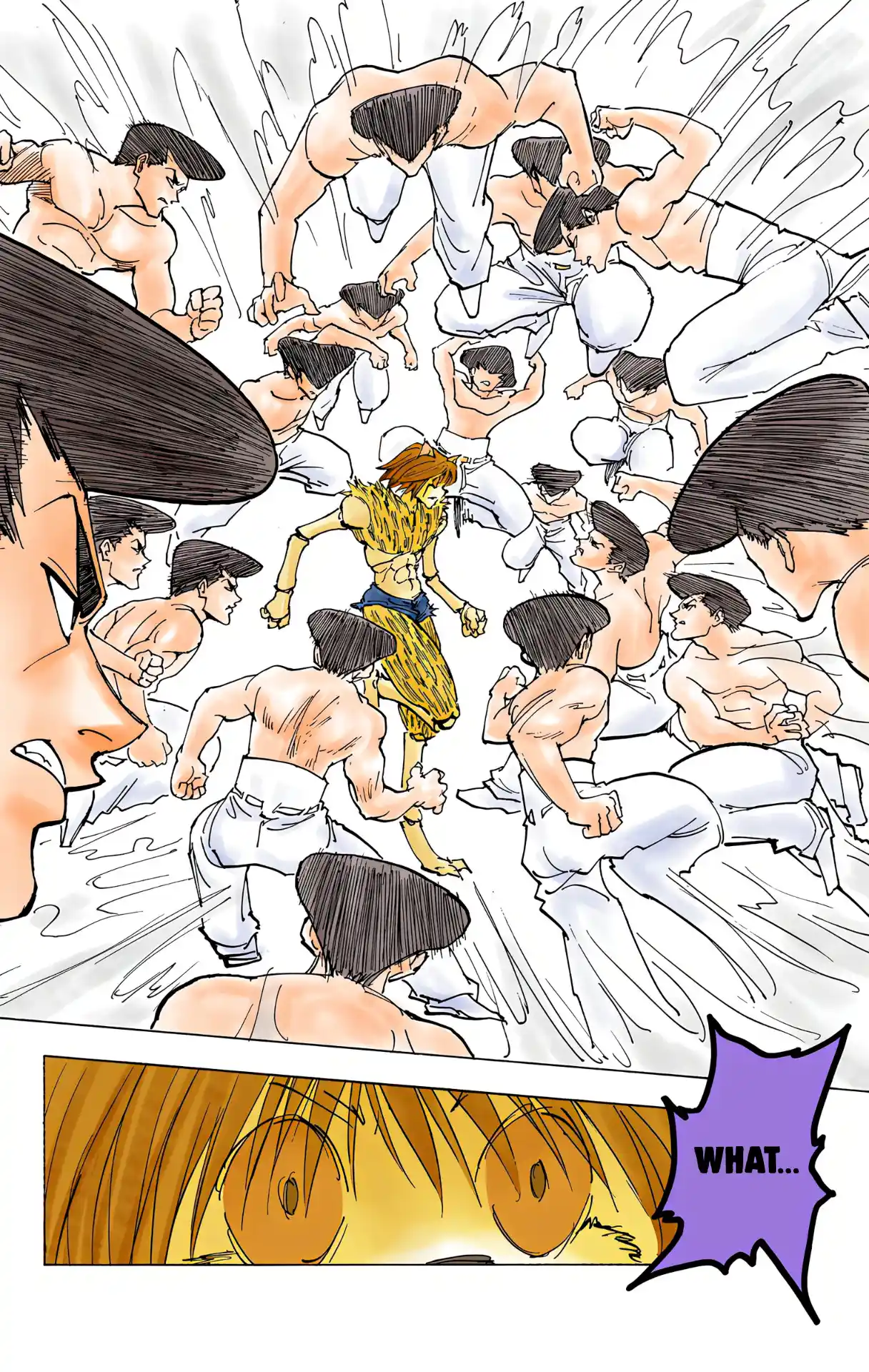 Hunter X Hunter Full Color Vol.21 Chapter 221