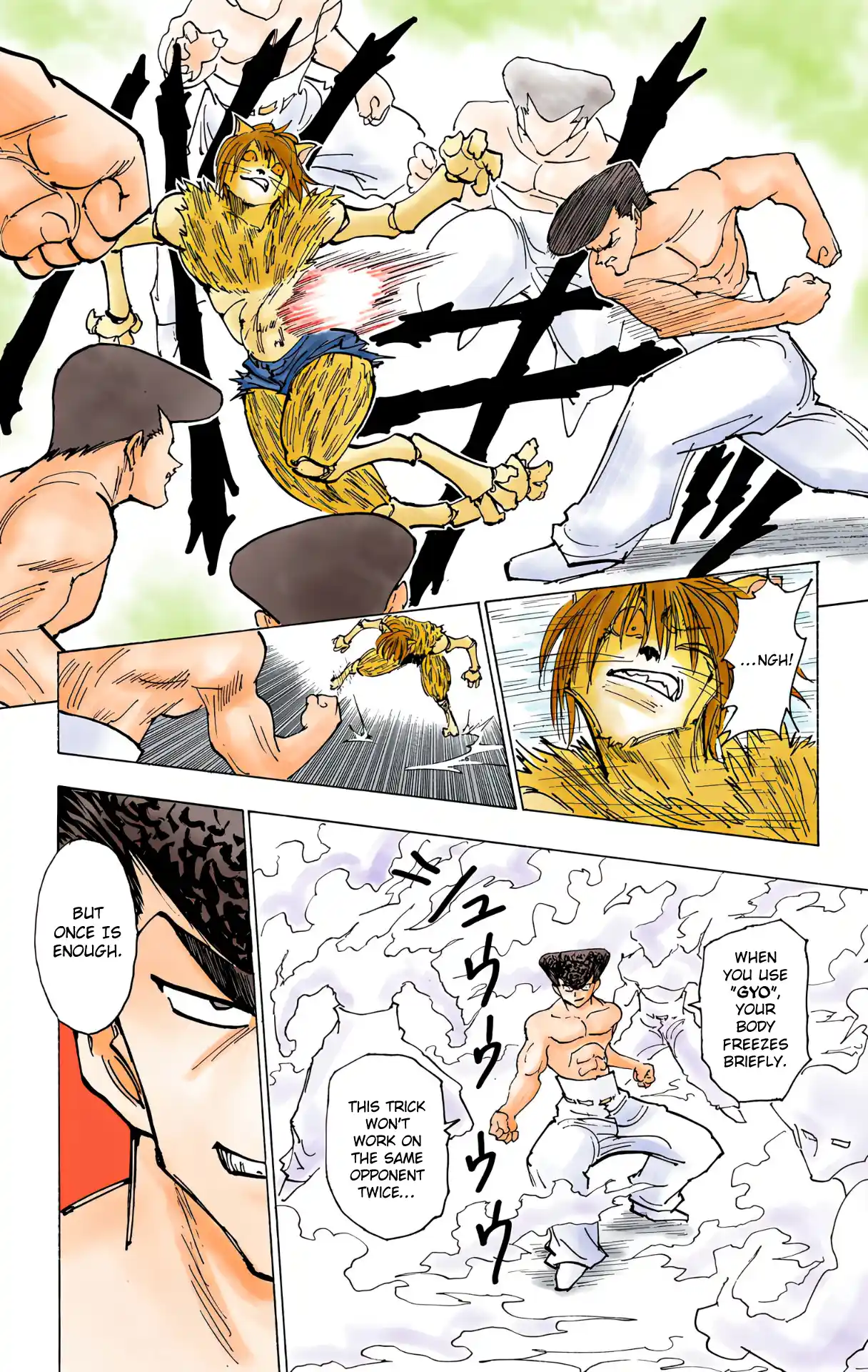 Hunter X Hunter Full Color Vol.21 Chapter 221