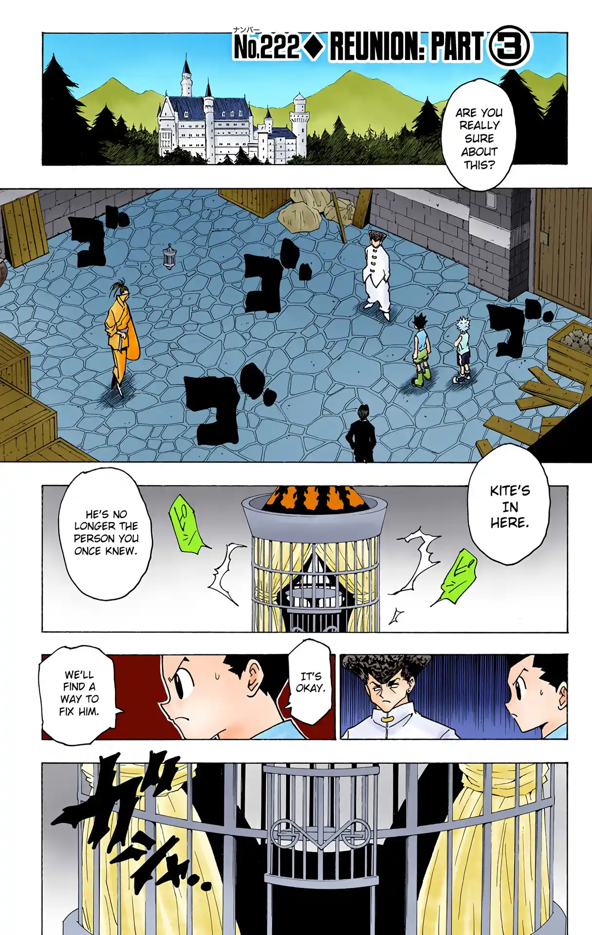 Hunter X Hunter Full Color Vol.21 Chapter 222