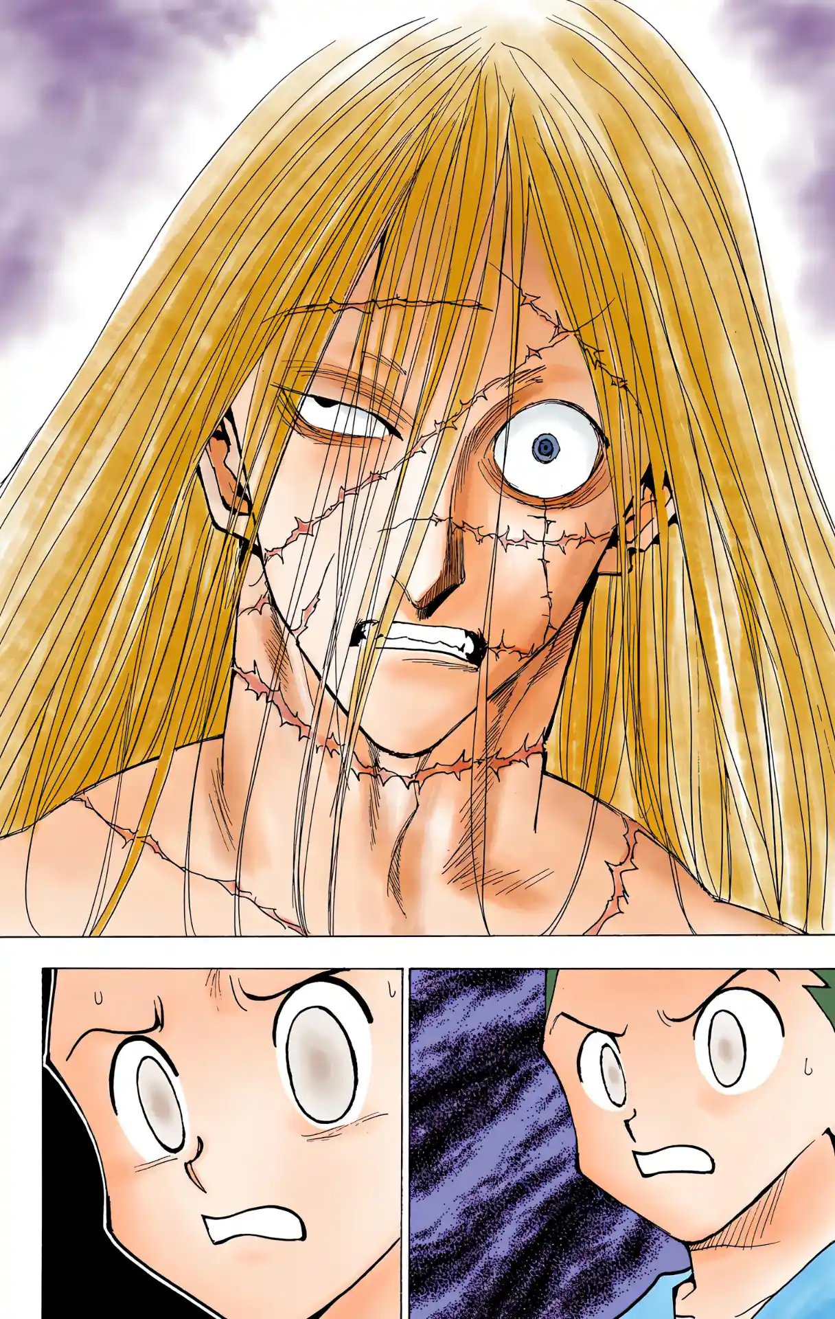 Hunter X Hunter Full Color Vol.21 Chapter 222