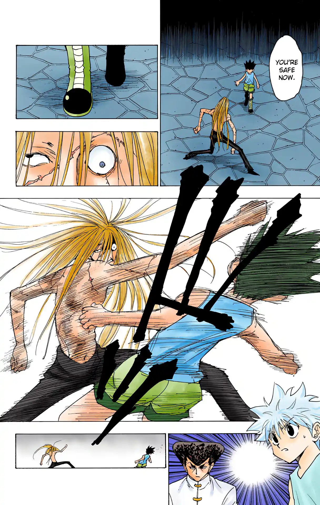 Hunter X Hunter Full Color Vol.21 Chapter 222