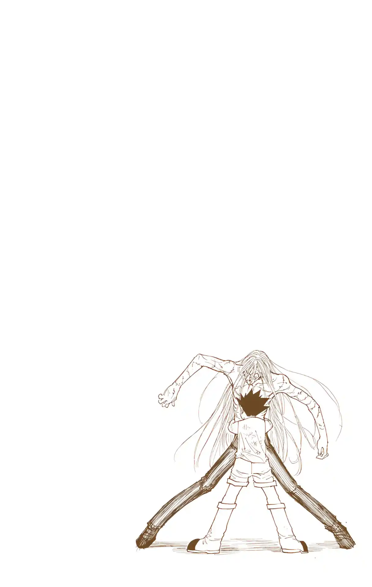 Hunter X Hunter Full Color Vol.21 Chapter 222