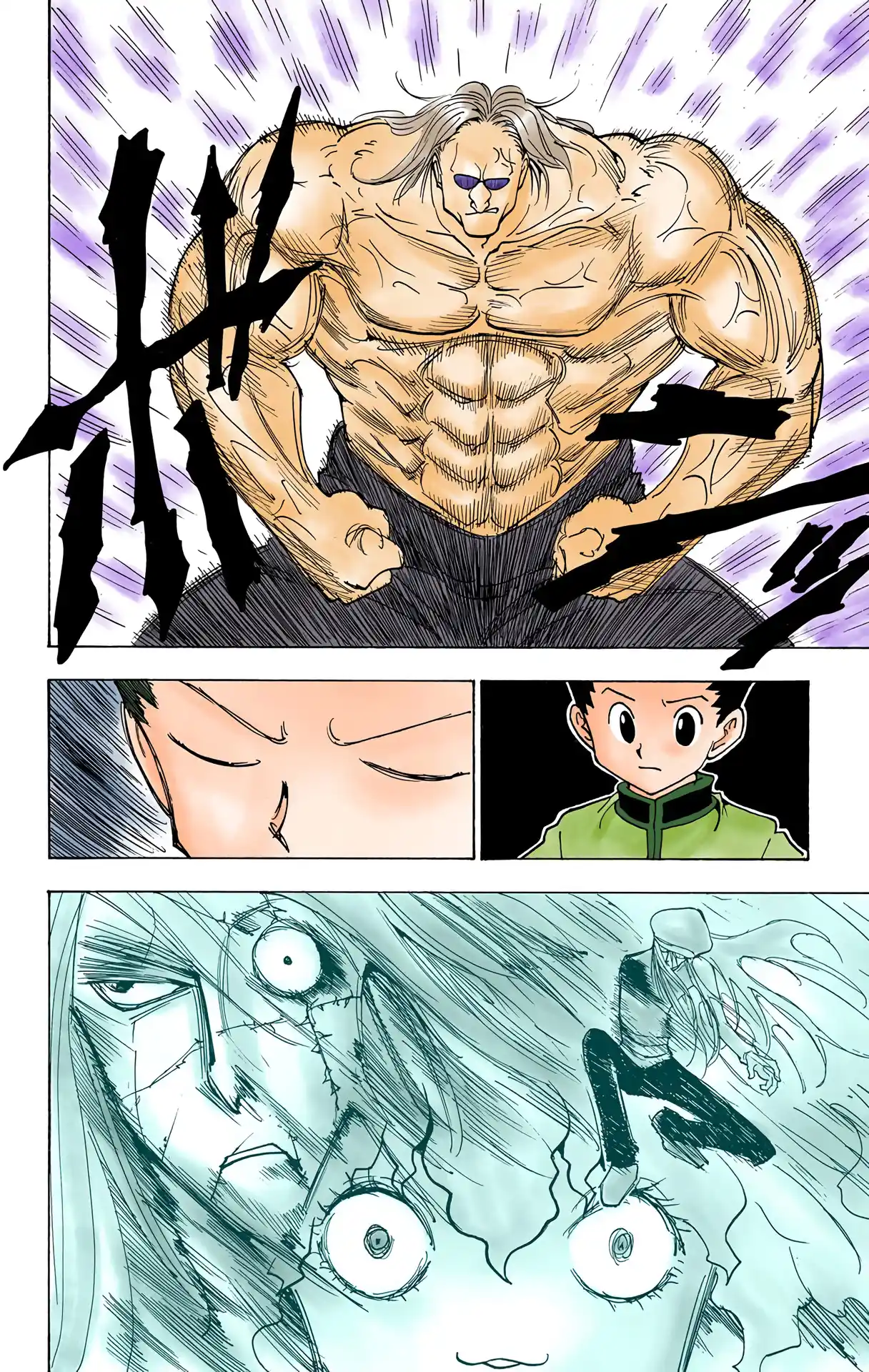 Hunter X Hunter Full Color Vol.21 Chapter 223
