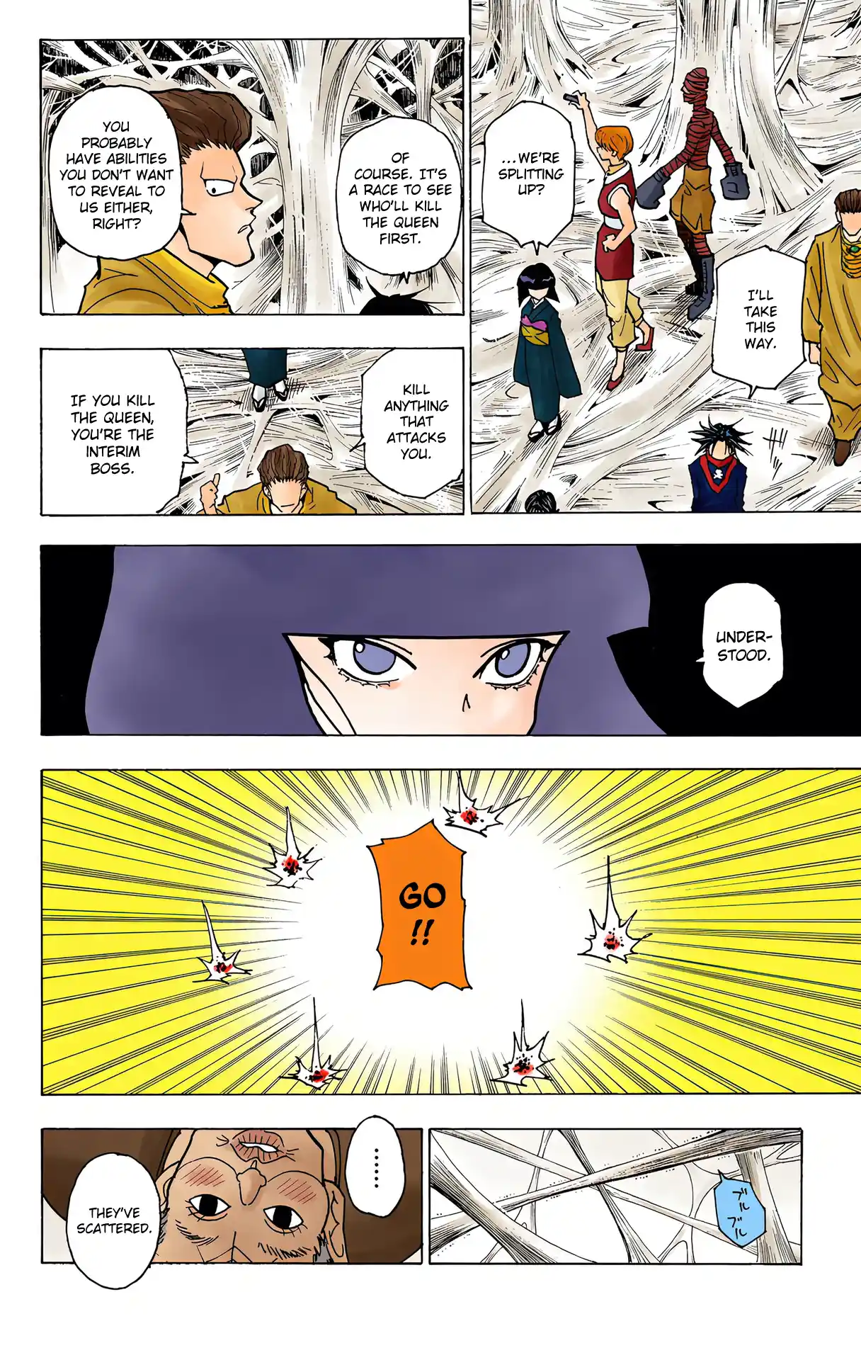 Hunter X Hunter Full Color Vol.22 Chapter 225