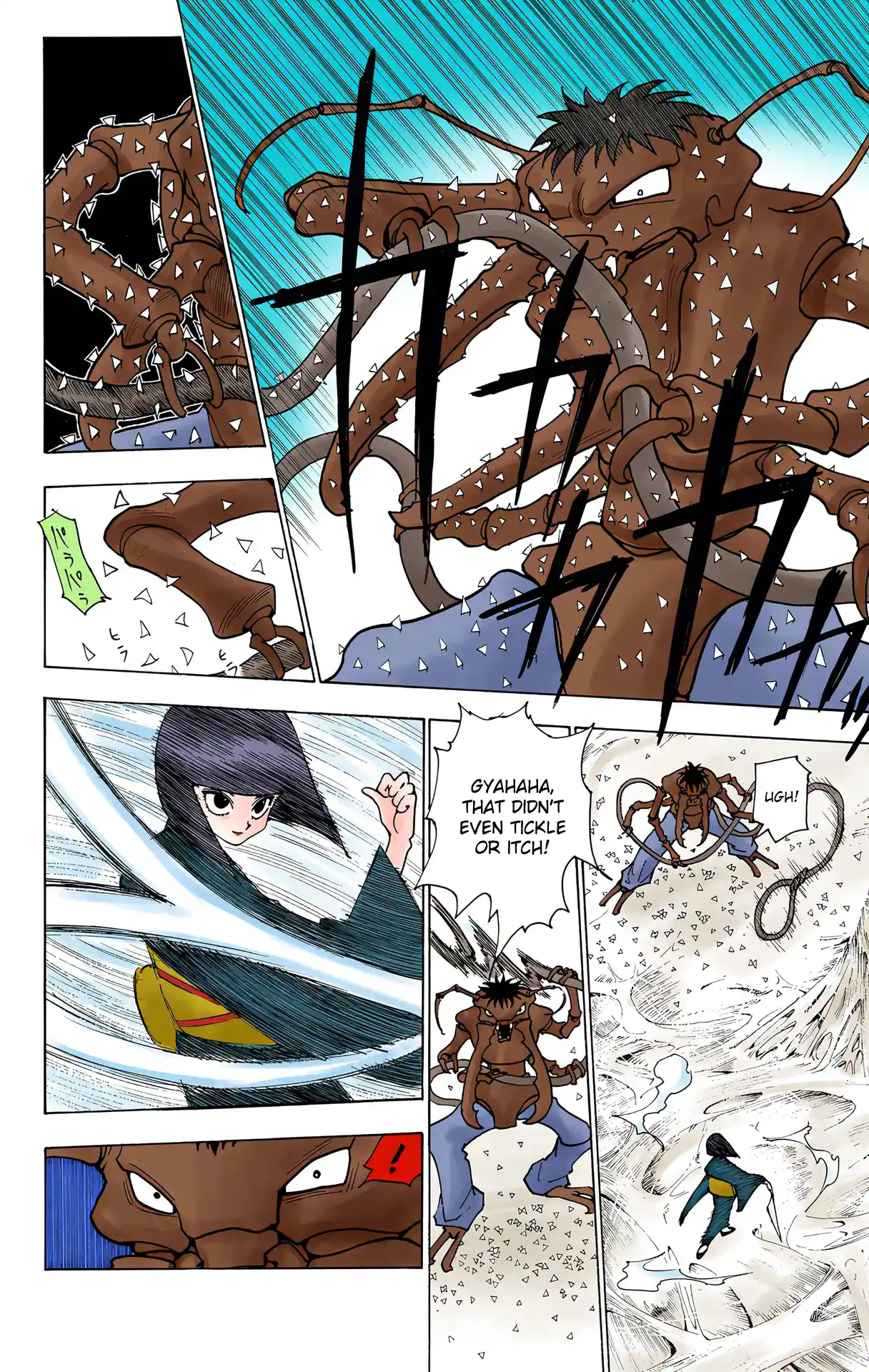 Hunter X Hunter Full Color Vol.22 Chapter 226