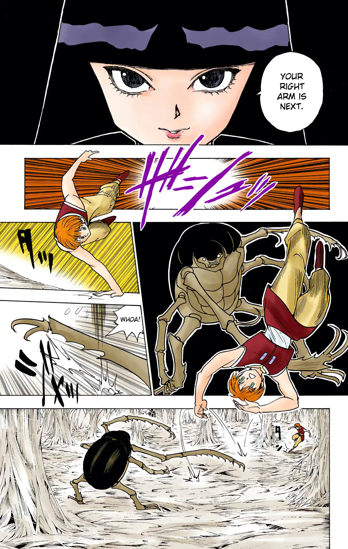 Hunter X Hunter Full Color Vol.22 Chapter 226