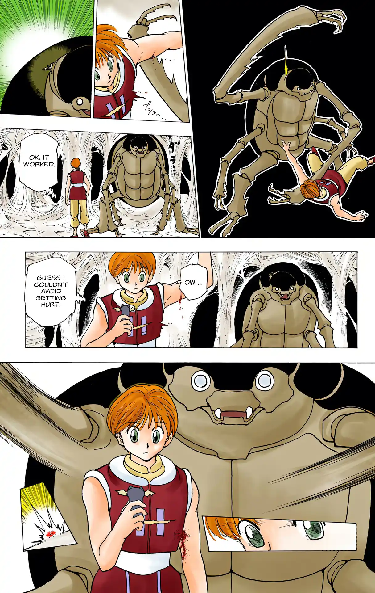 Hunter X Hunter Full Color Vol.22 Chapter 226