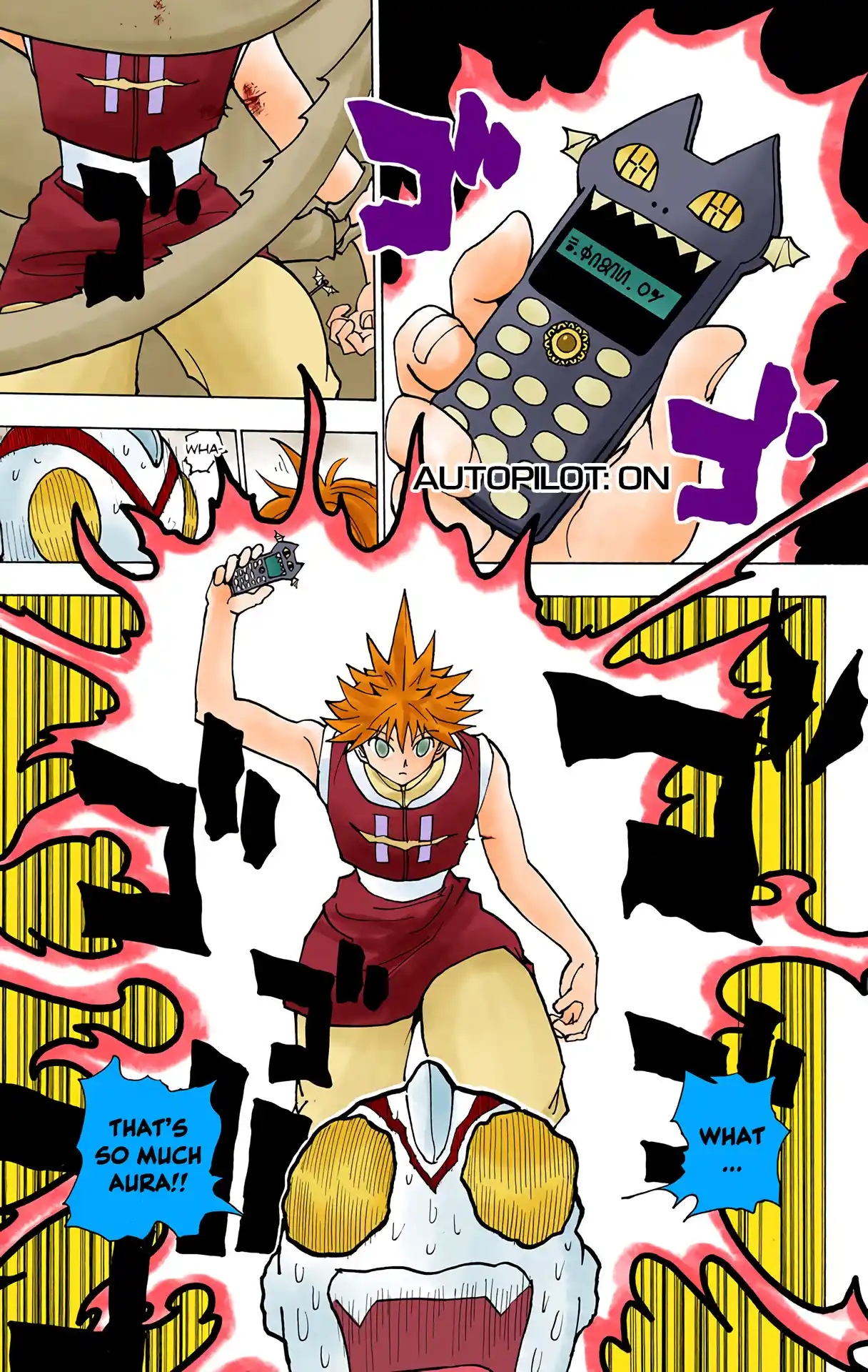 Hunter X Hunter Full Color Vol.22 Chapter 227