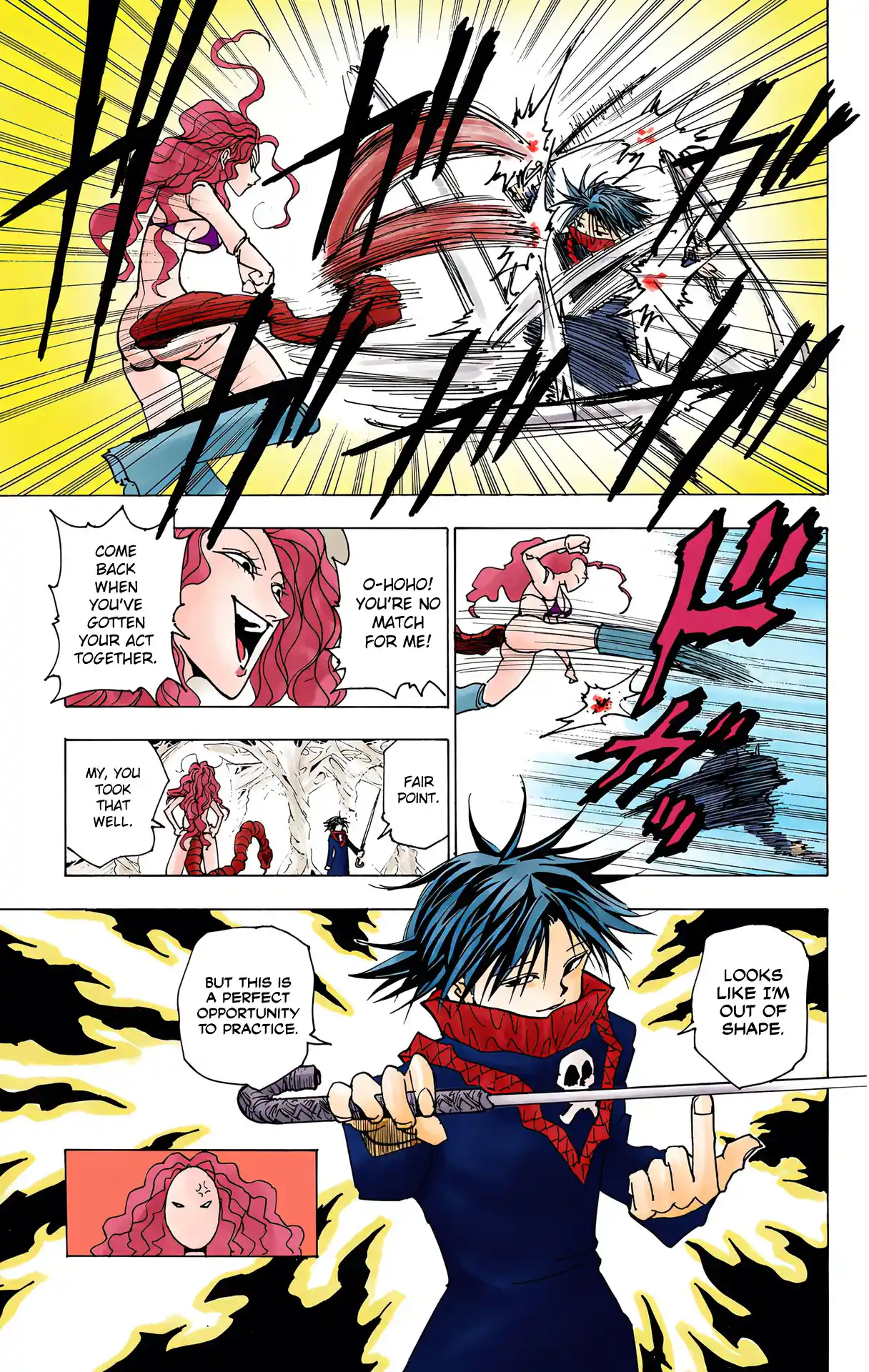 Hunter X Hunter Full Color Vol.22 Chapter 227