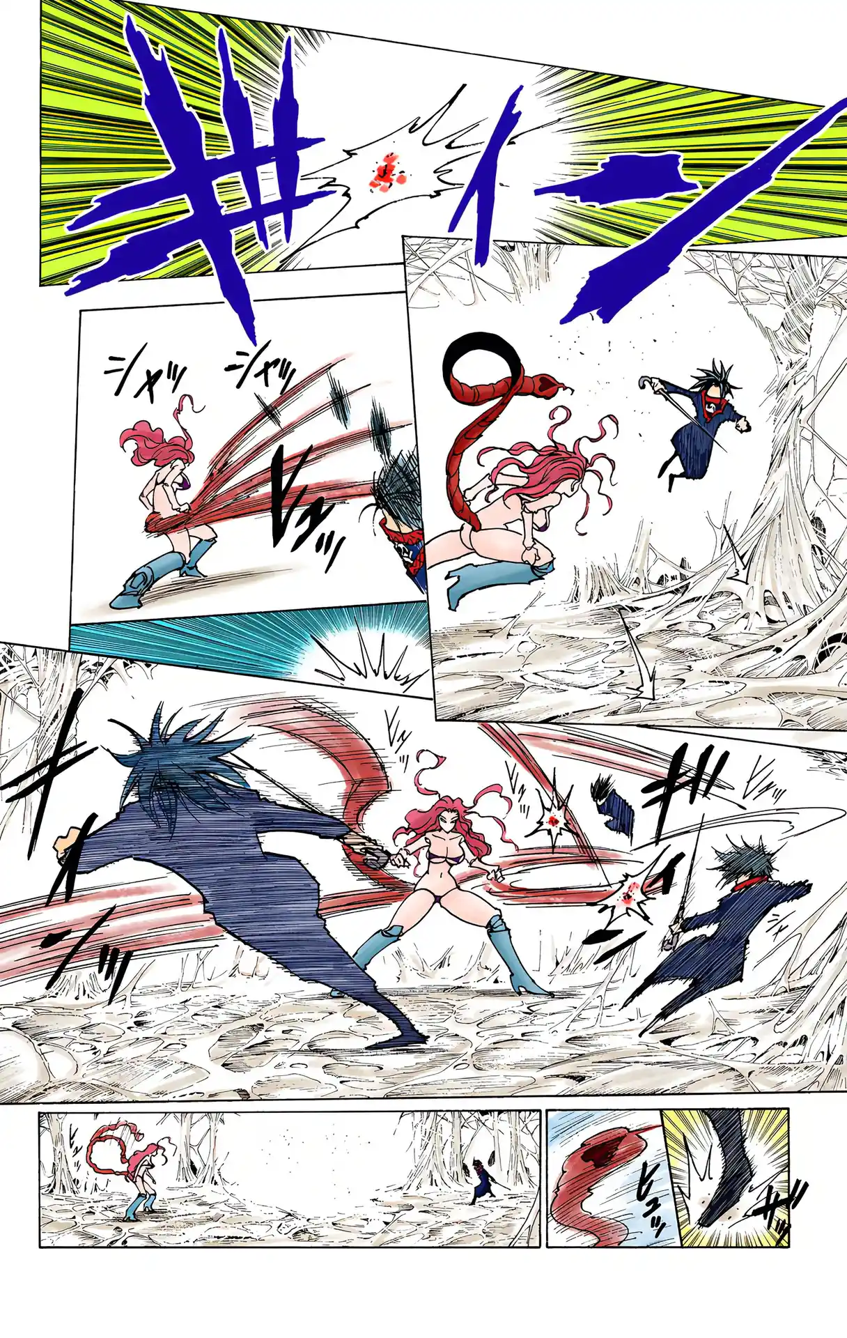 Hunter X Hunter Full Color Vol.22 Chapter 228