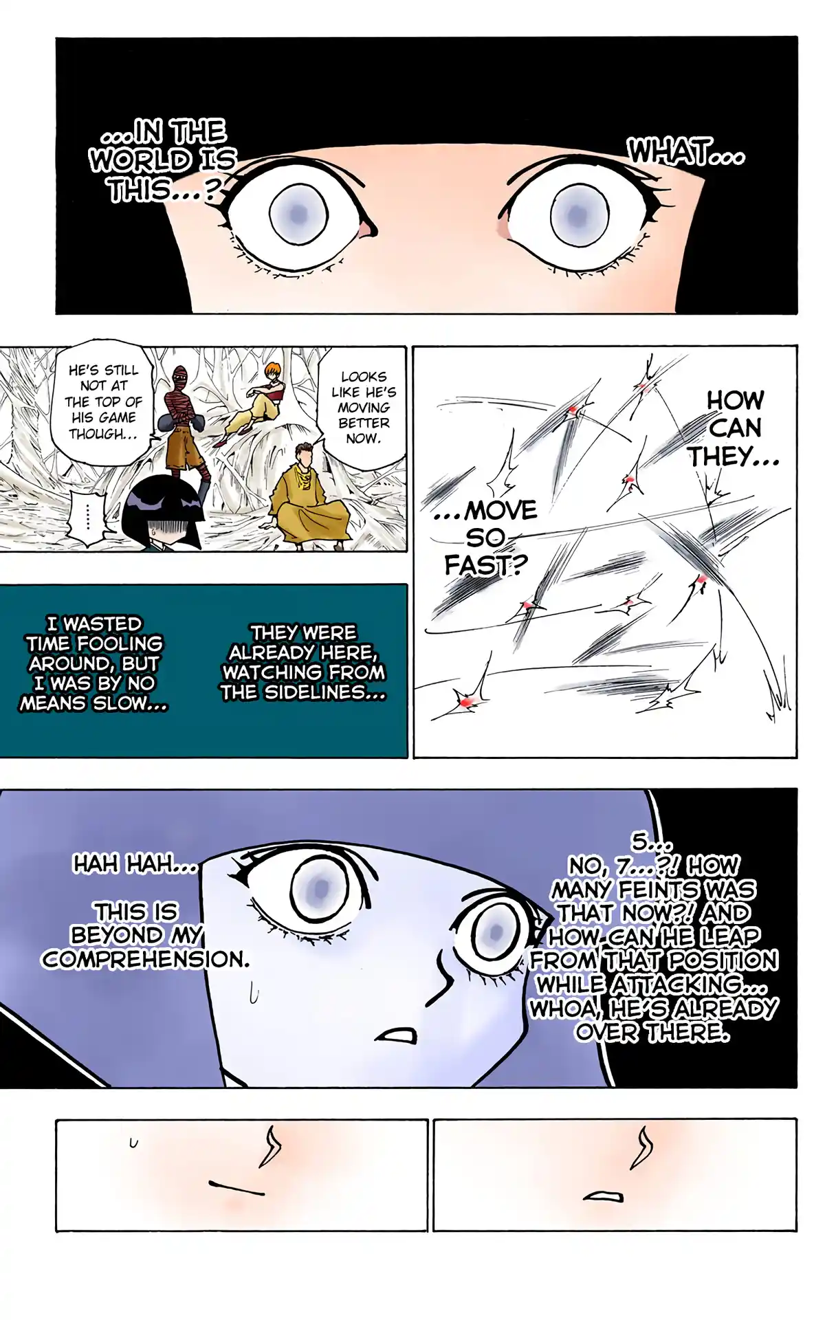 Hunter X Hunter Full Color Vol.22 Chapter 228