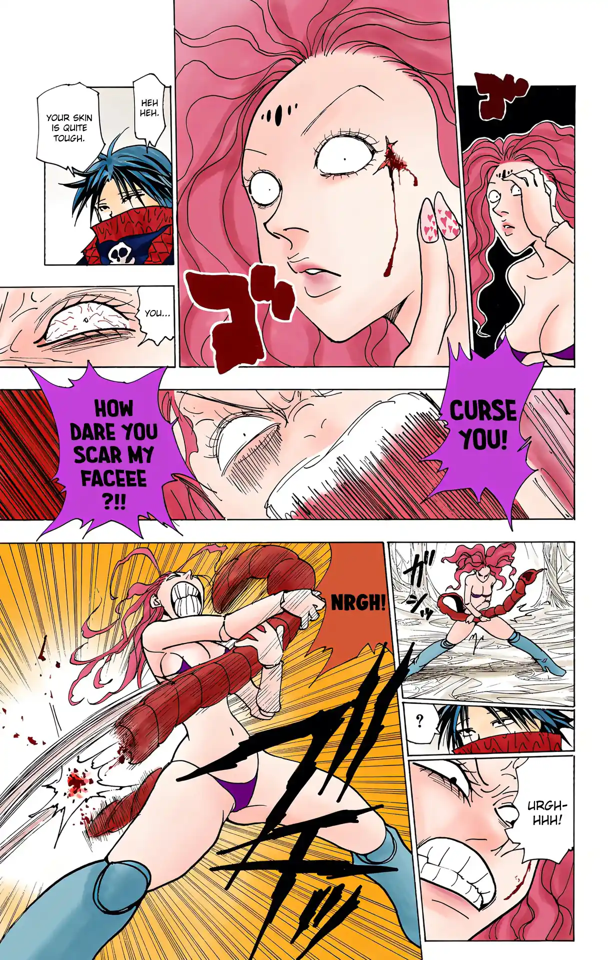 Hunter X Hunter Full Color Vol.22 Chapter 228