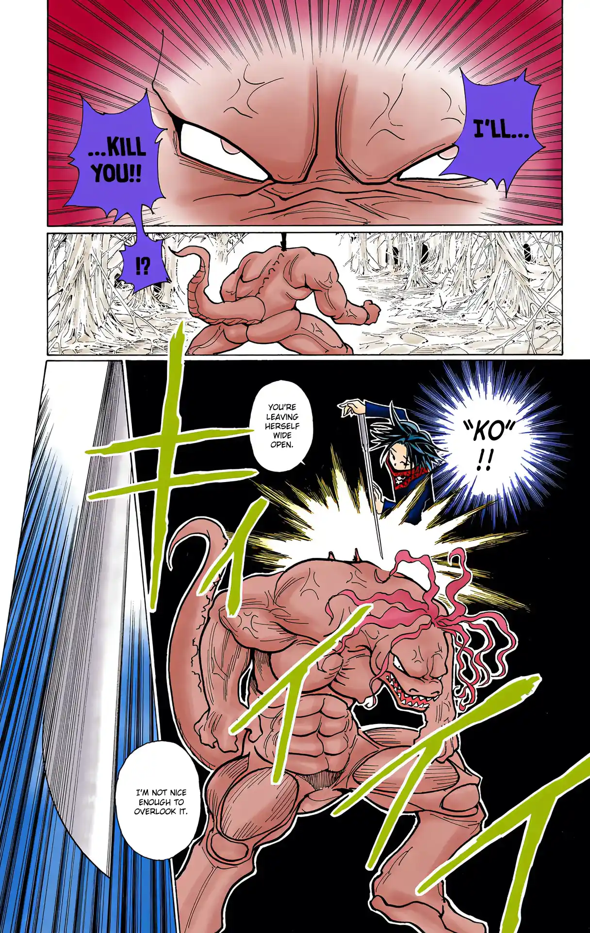 Hunter X Hunter Full Color Vol.22 Chapter 228