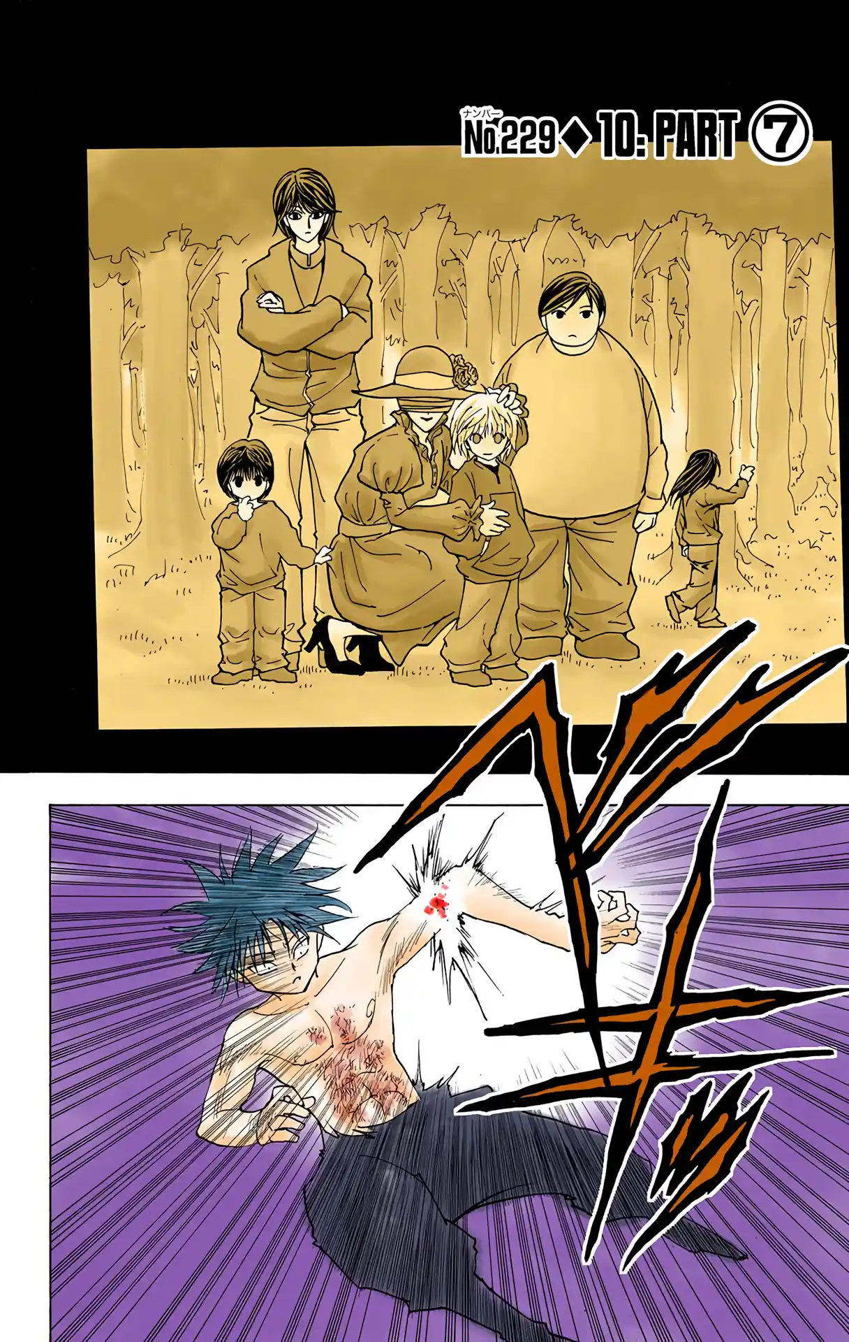 Hunter X Hunter Full Color Vol.22 Chapter 229