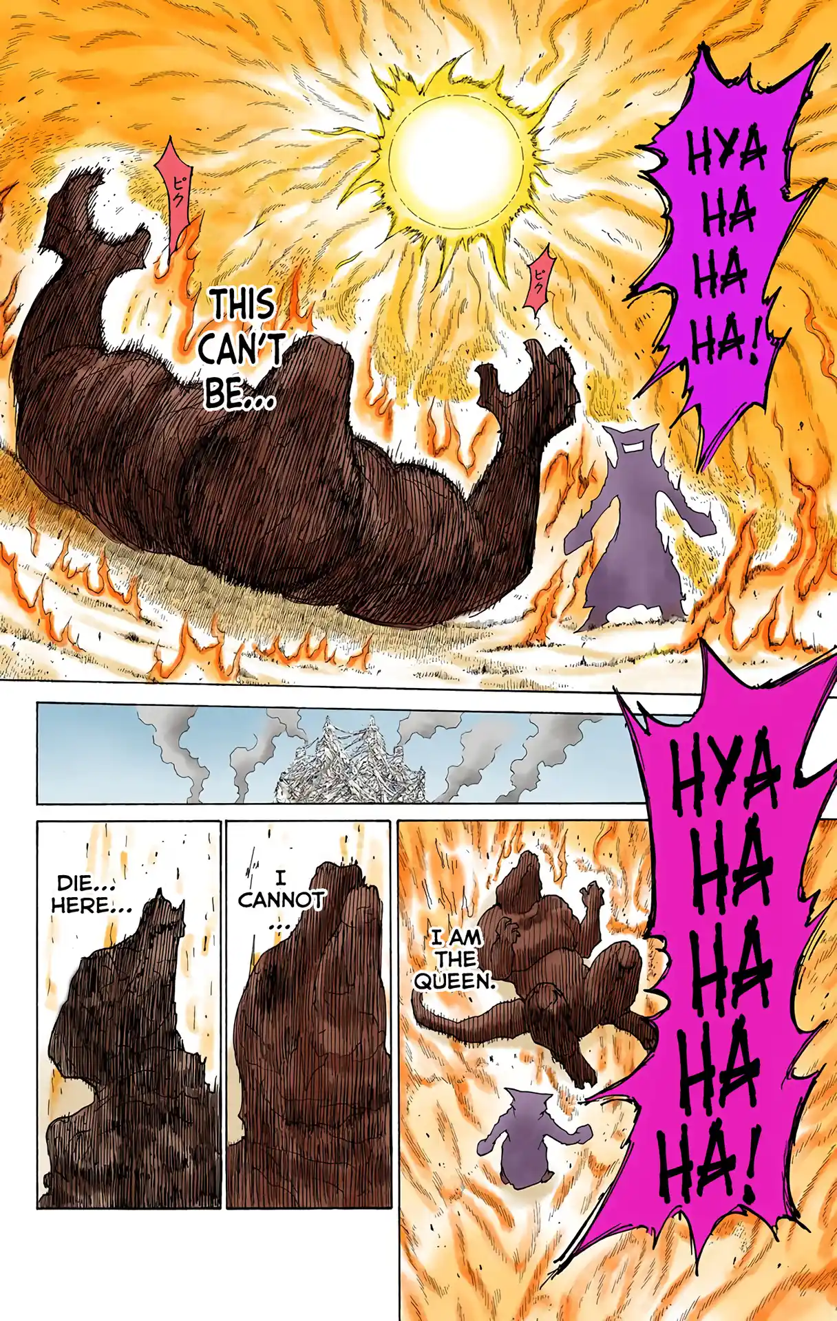 Hunter X Hunter Full Color Vol.22 Chapter 229