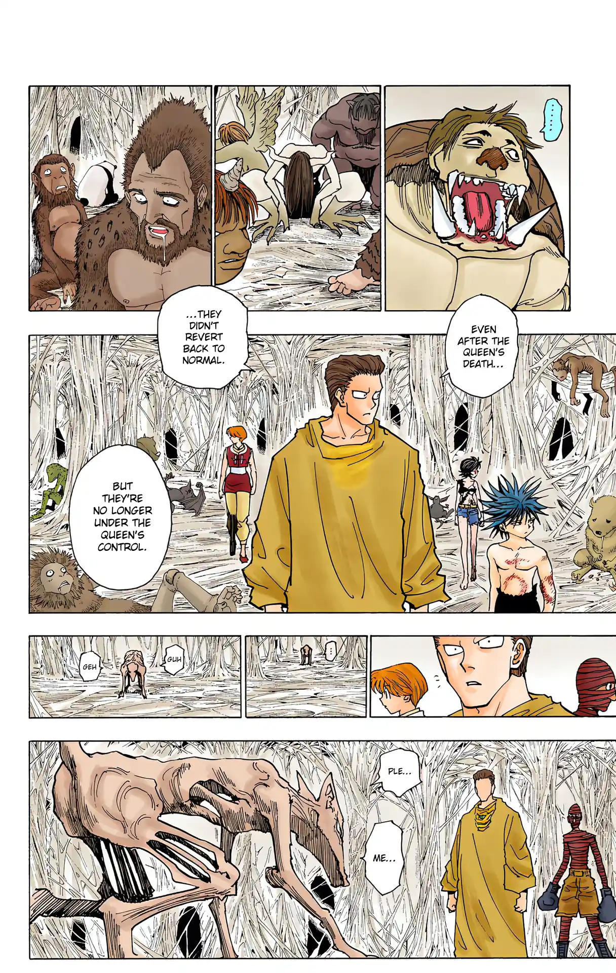 Hunter X Hunter Full Color Vol.22 Chapter 229