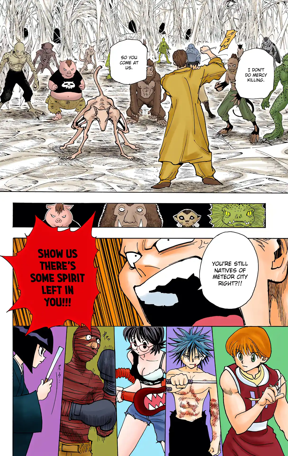 Hunter X Hunter Full Color Vol.22 Chapter 229