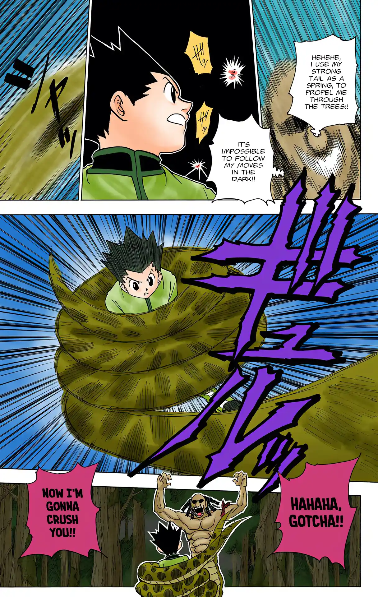 Hunter X Hunter Full Color Vol.22 Chapter 231