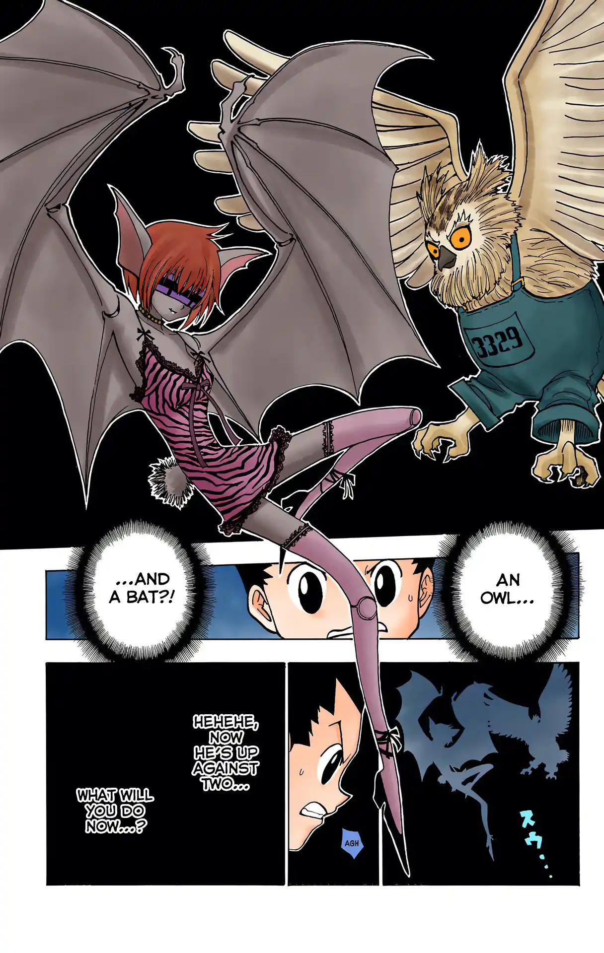Hunter X Hunter Full Color Vol.22 Chapter 231